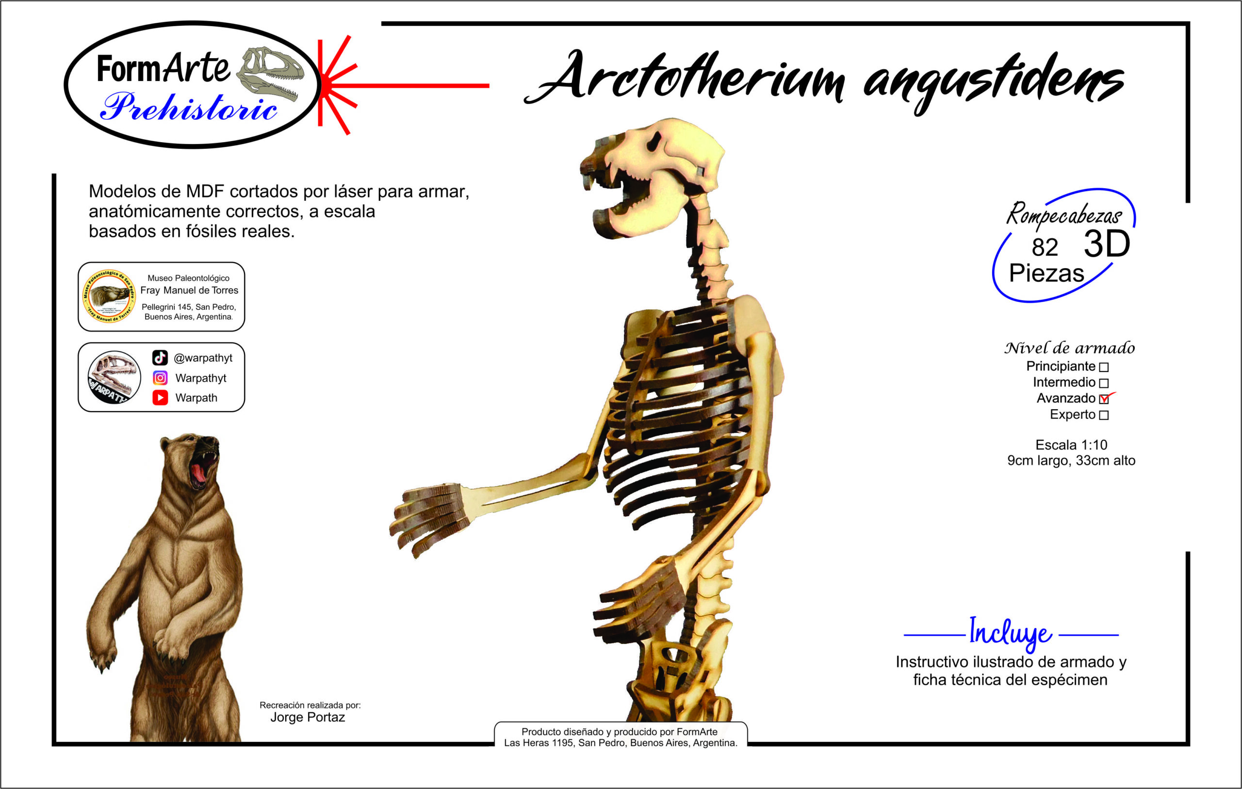 Arctotherium angustidens Escala 1:10 - Imagen 6