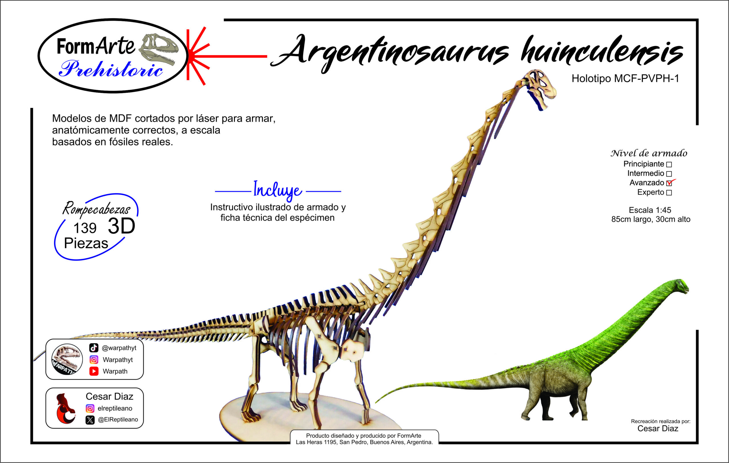 Argentinosaurus huinculensis Escala 1:45 - Imagen 7