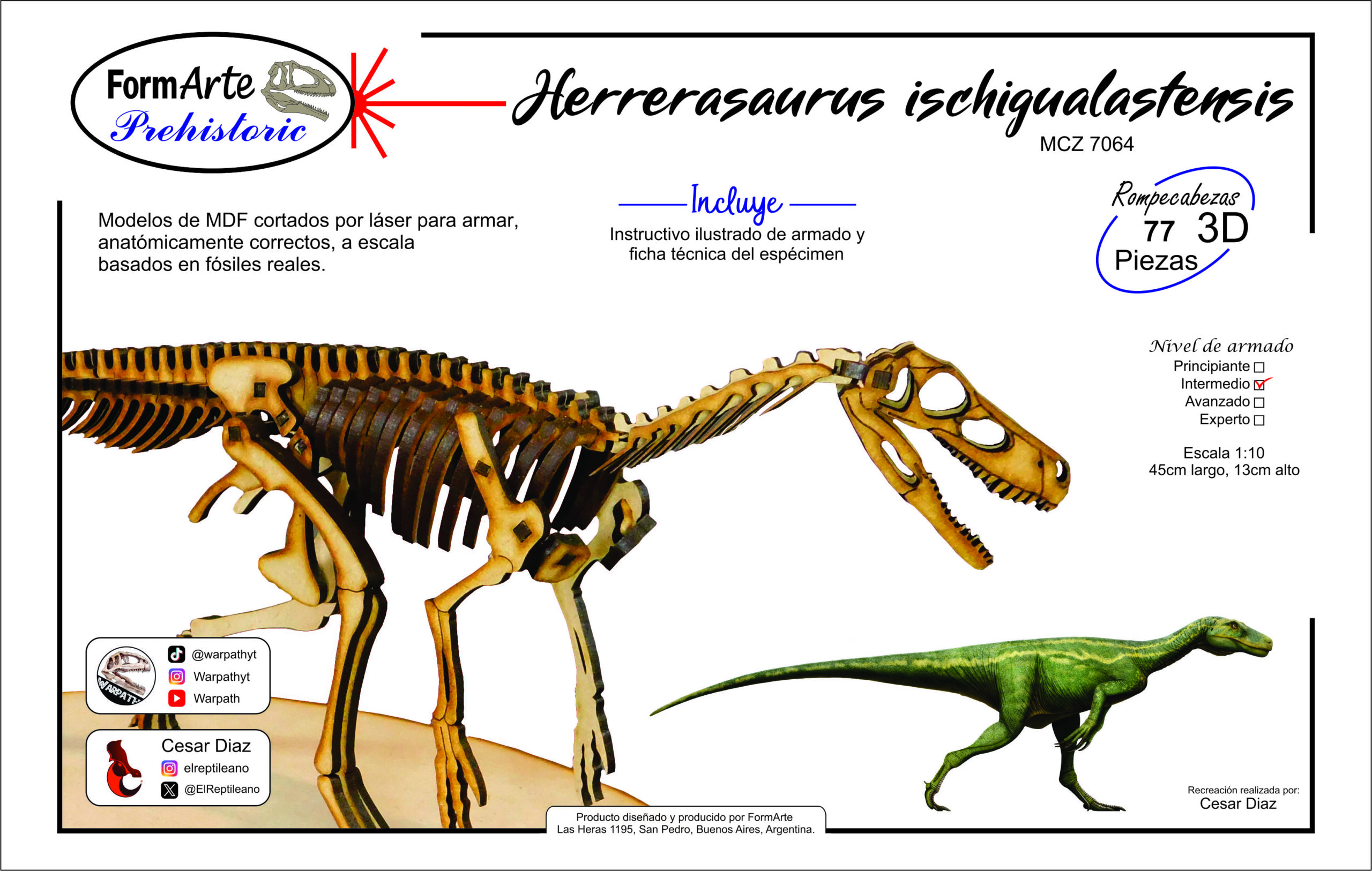 Herrerasaurus ischigualastensis Escala 1:10 - Imagen 8