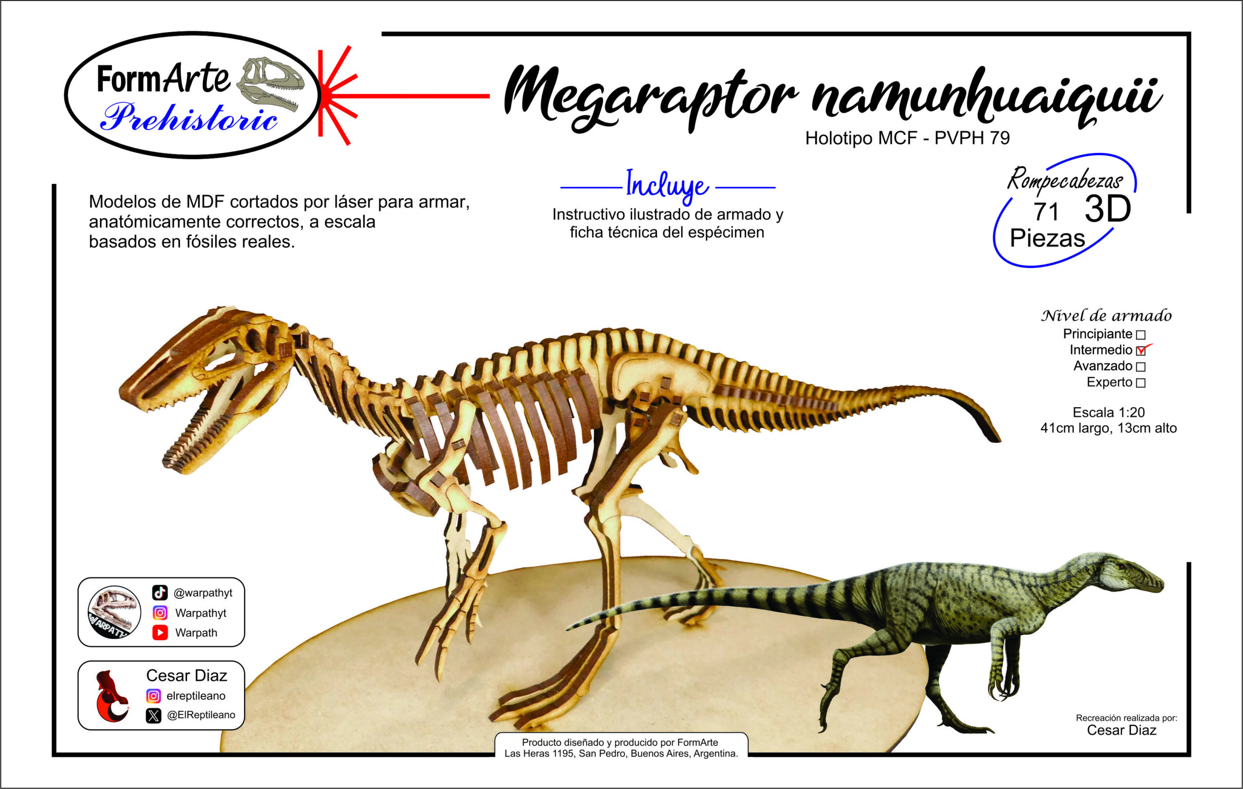 Megaraptor namunhuaiquii Escala 1:20 - Imagen 7
