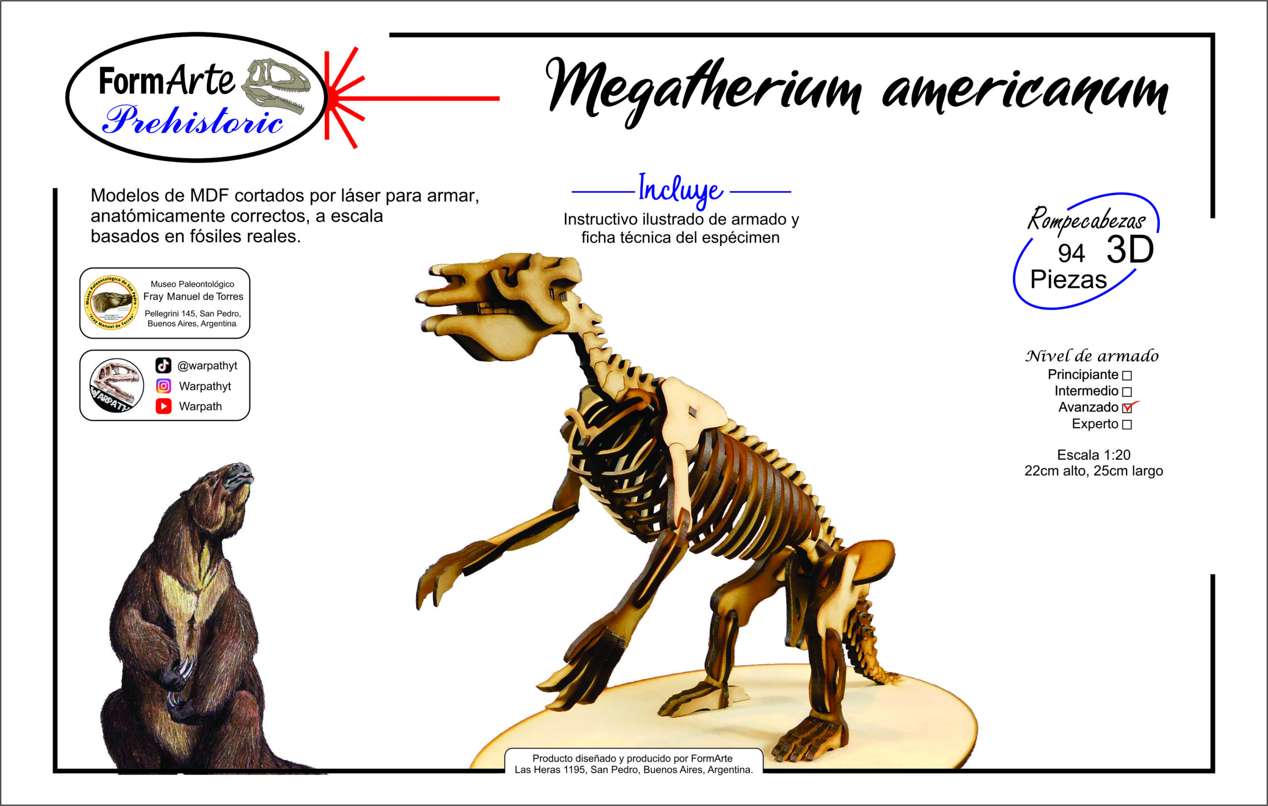 Megatherium americanum Escala 1:20 - Imagen 6