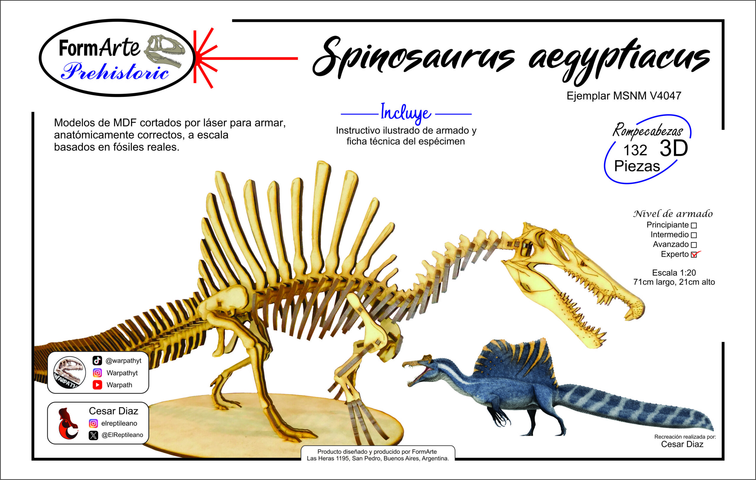 Spinosaurus aegyptiacus Escala 1:20 - Imagen 7