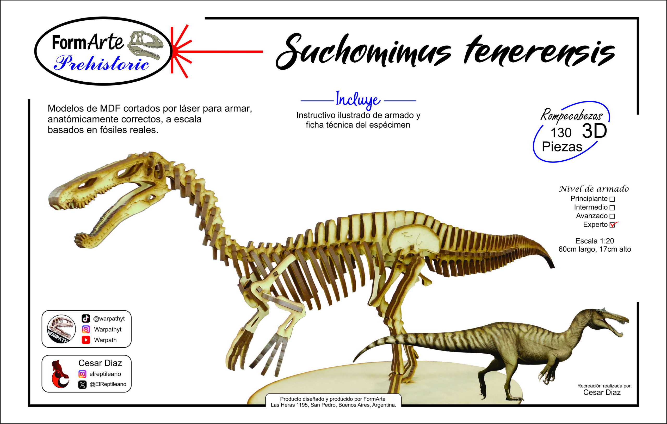 Suchomimus tenerensis Escala 1:20 - Imagen 7