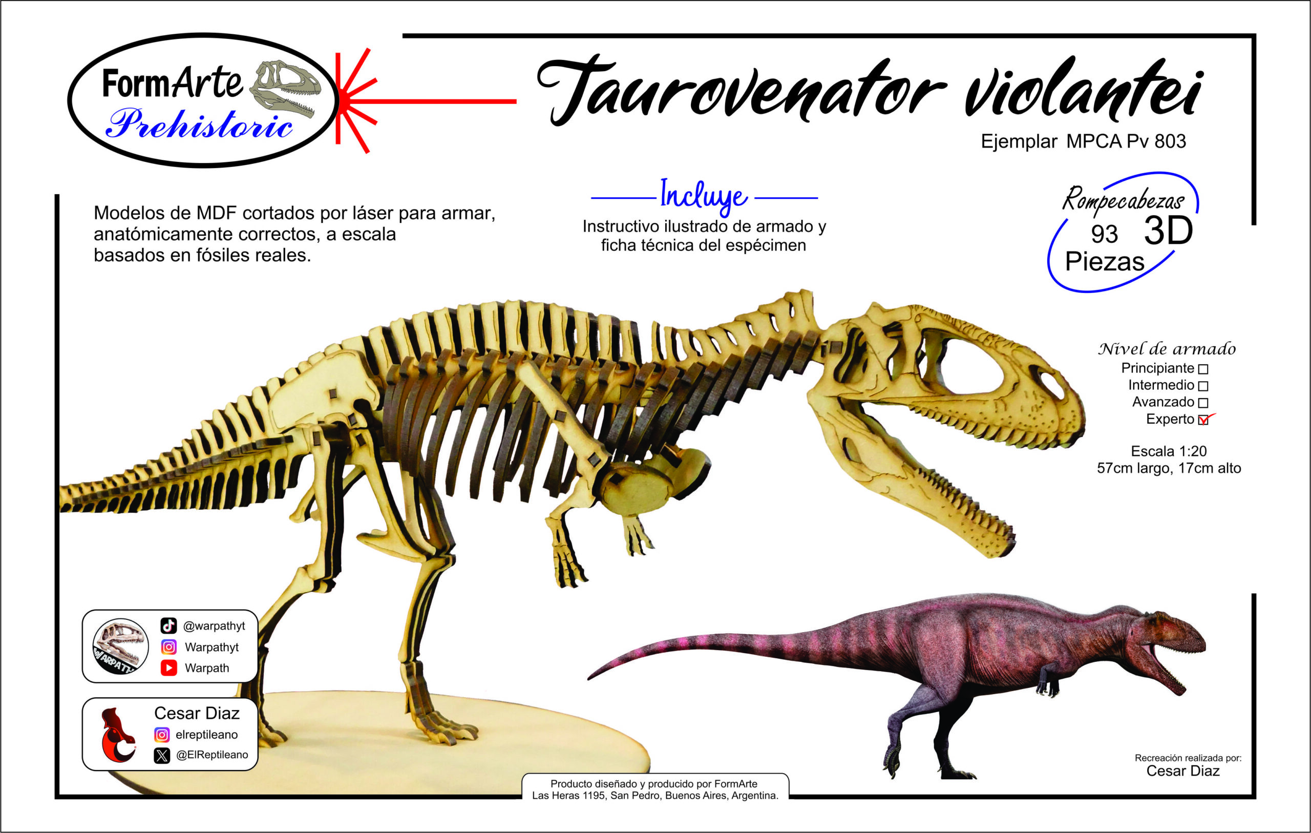 Taurovenator violantei Escala 1:20 - Imagen 8