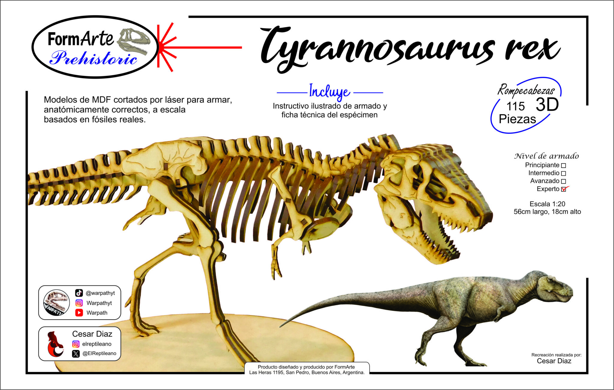 Tyrannosaurus rex Escala 1:20 – FormArte Prehistoric