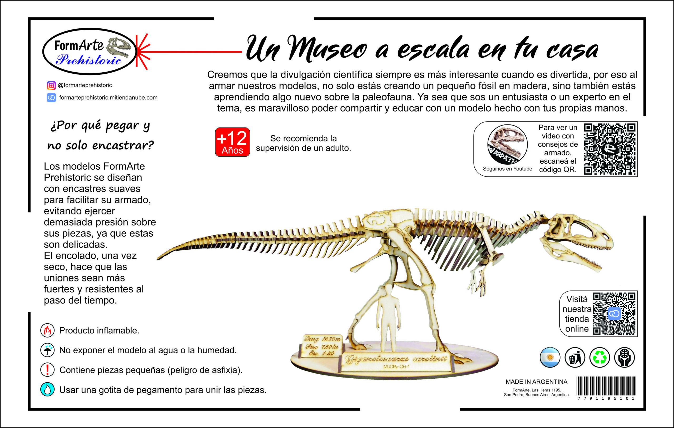 Giganotosaurus carolinii Escala 1:20 - Imagen 7