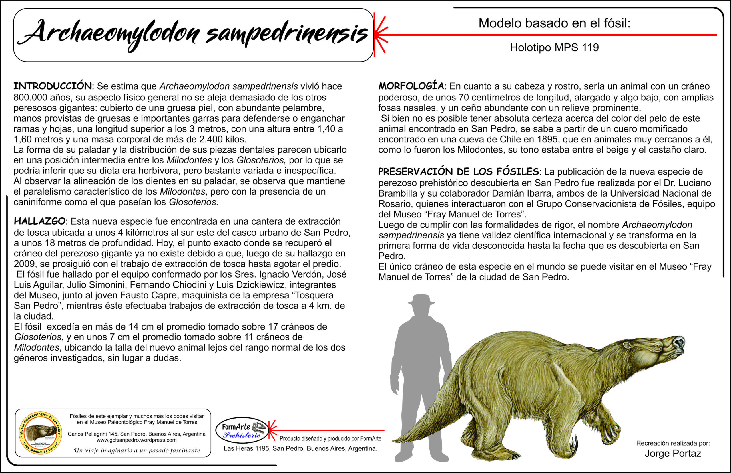 Archaeomylodon sampedrinensis Escala 1:10 - Imagen 8