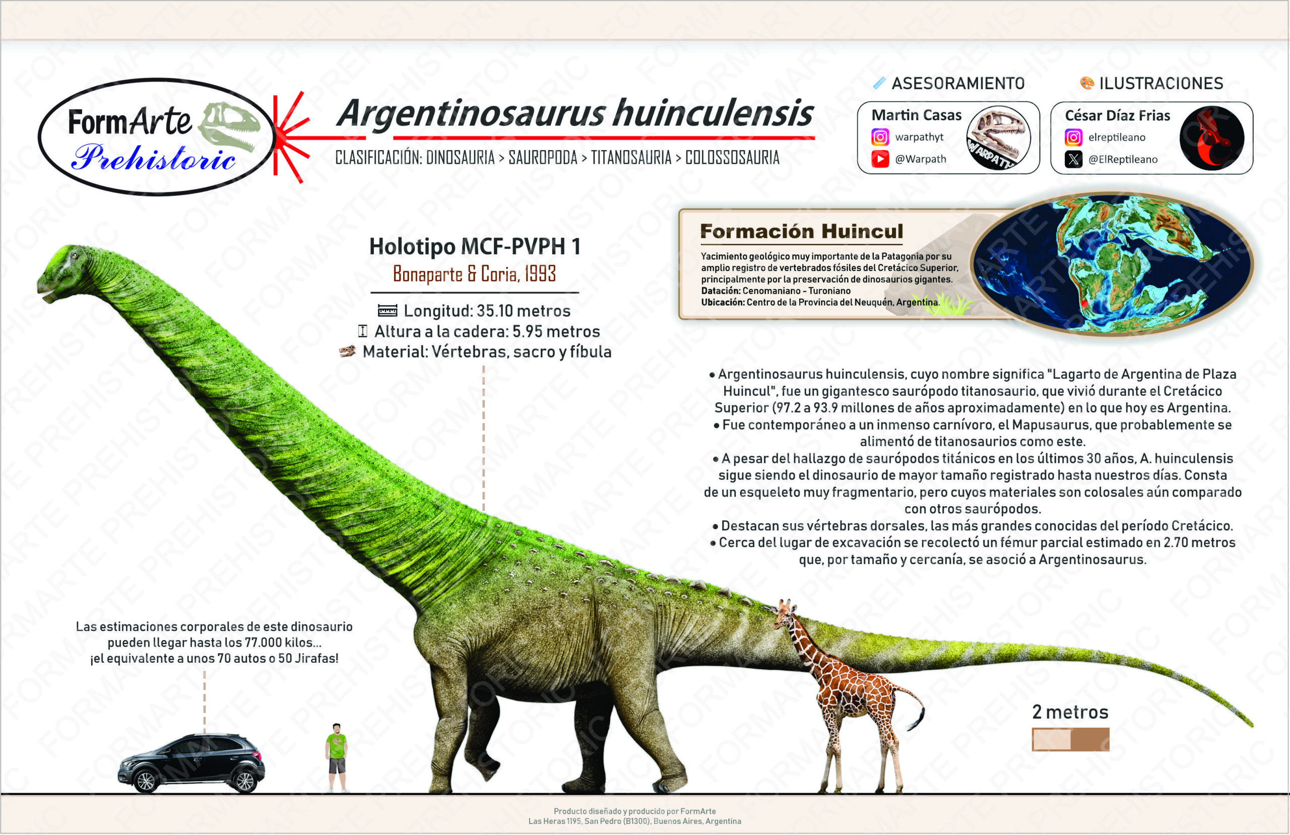 Argentinosaurus huinculensis Escala 1:45 - Imagen 9