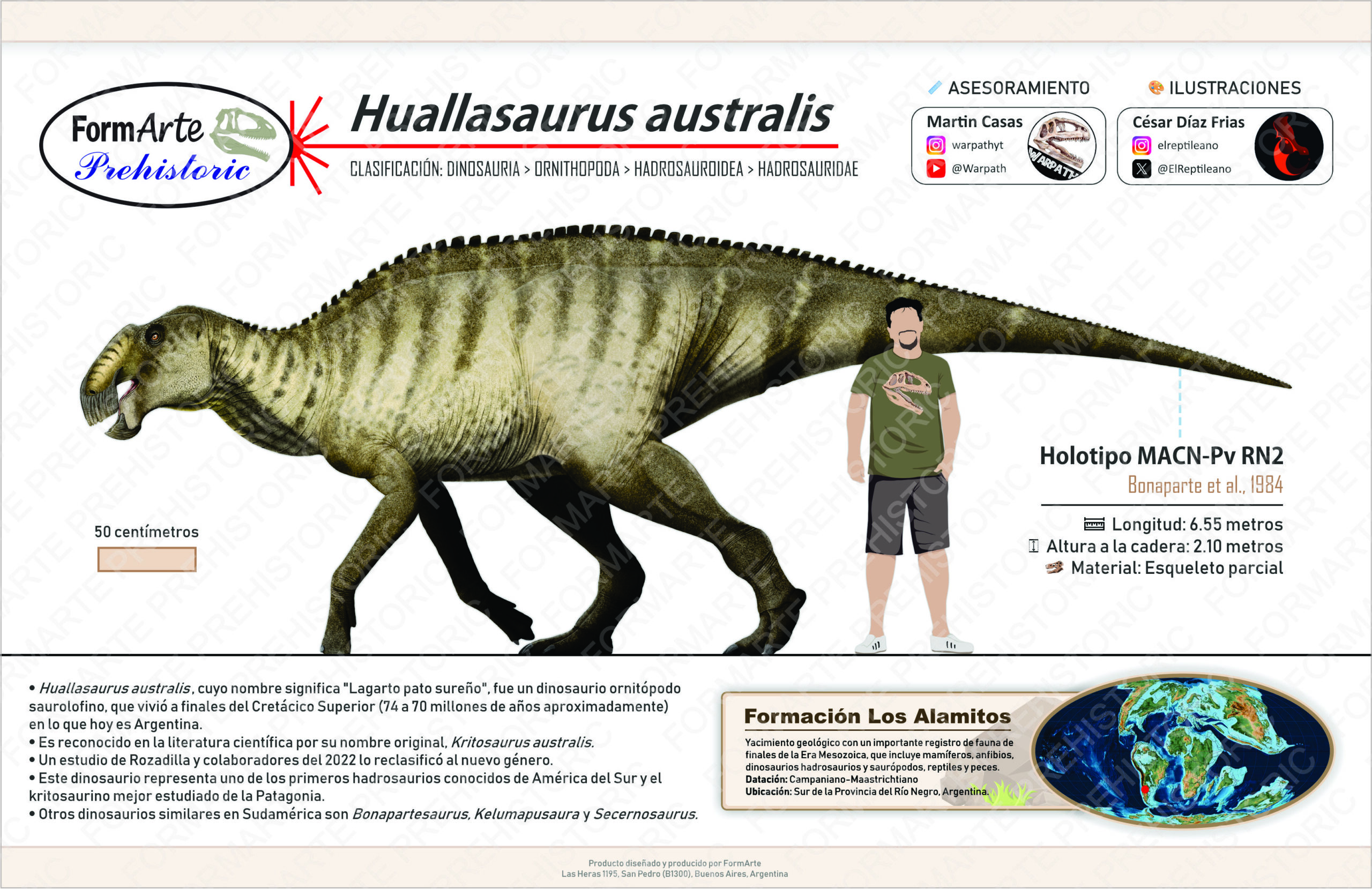 Huallasaurus australis Escala 1:15 - Imagen 9