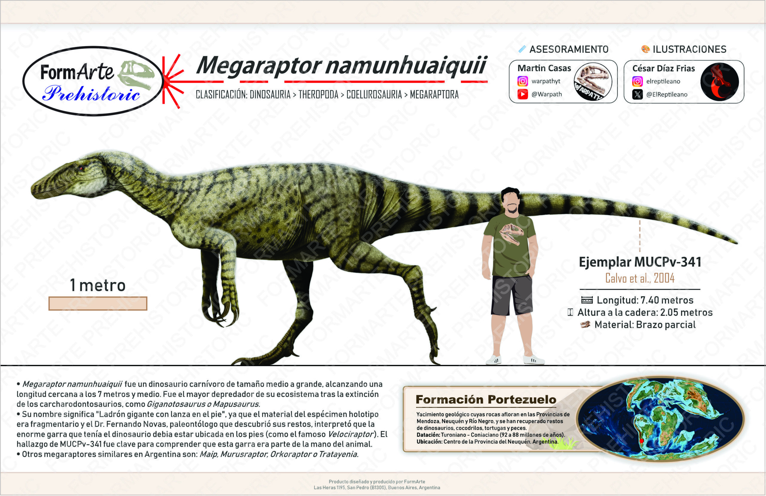 Megaraptor namunhuaiquii Escala 1:20 - Imagen 9