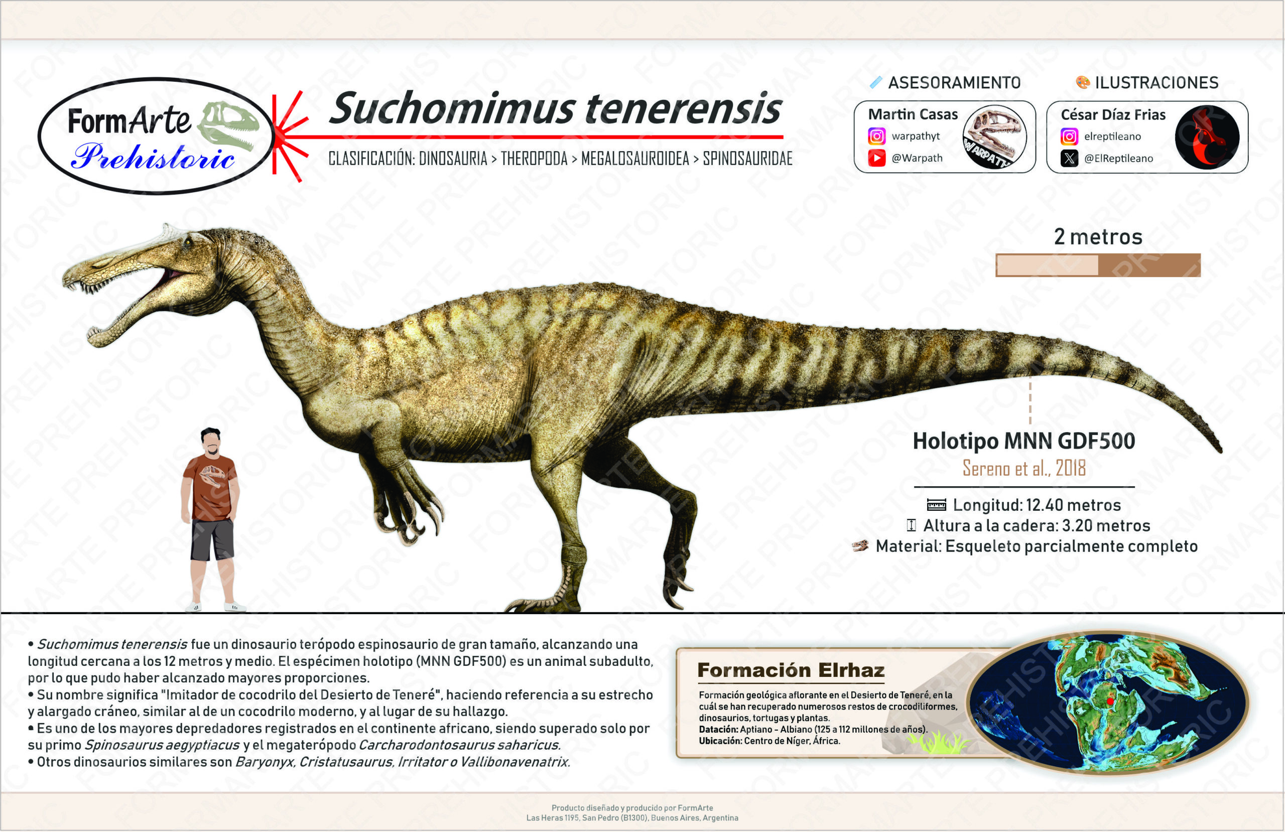 Suchomimus tenerensis Escala 1:20 - Imagen 9