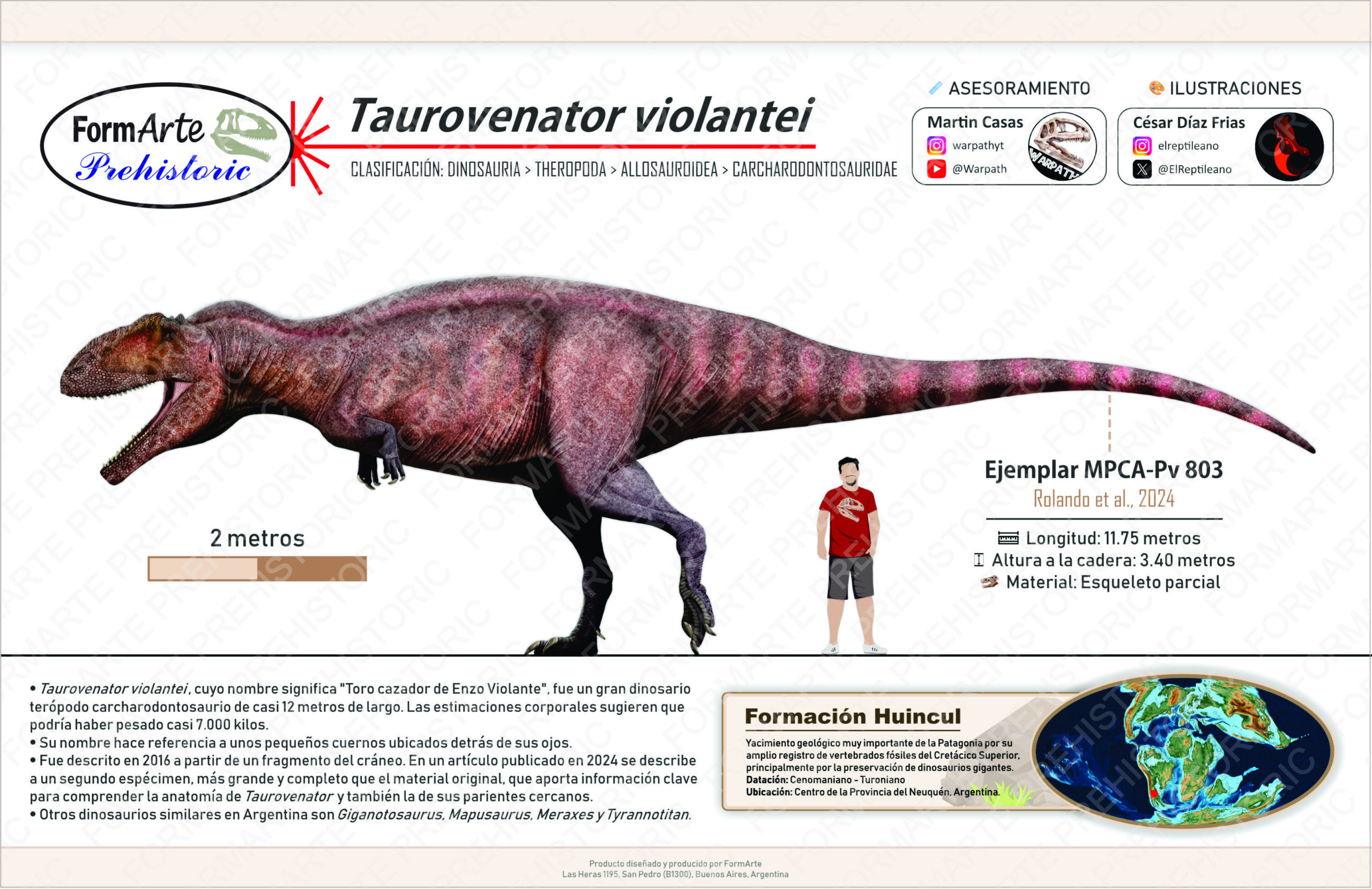 Taurovenator violantei Escala 1:20 - Imagen 10