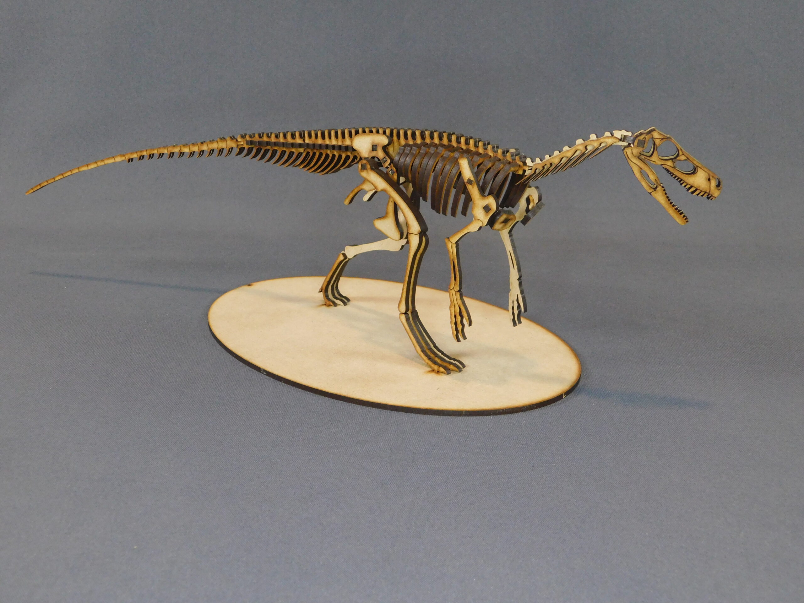 Herrerasaurus ischigualastensis Escala 1:10 - Imagen 5