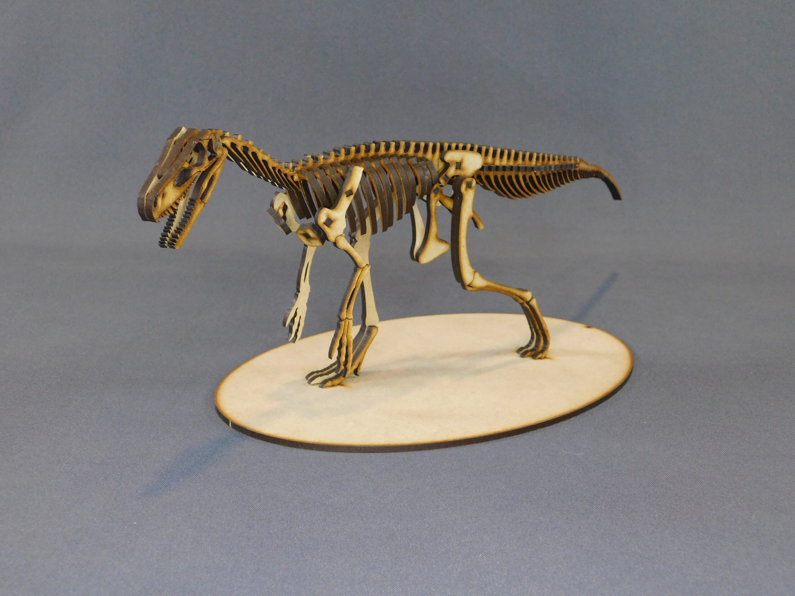 Herrerasaurus ischigualastensis Escala 1:10 - Imagen 4