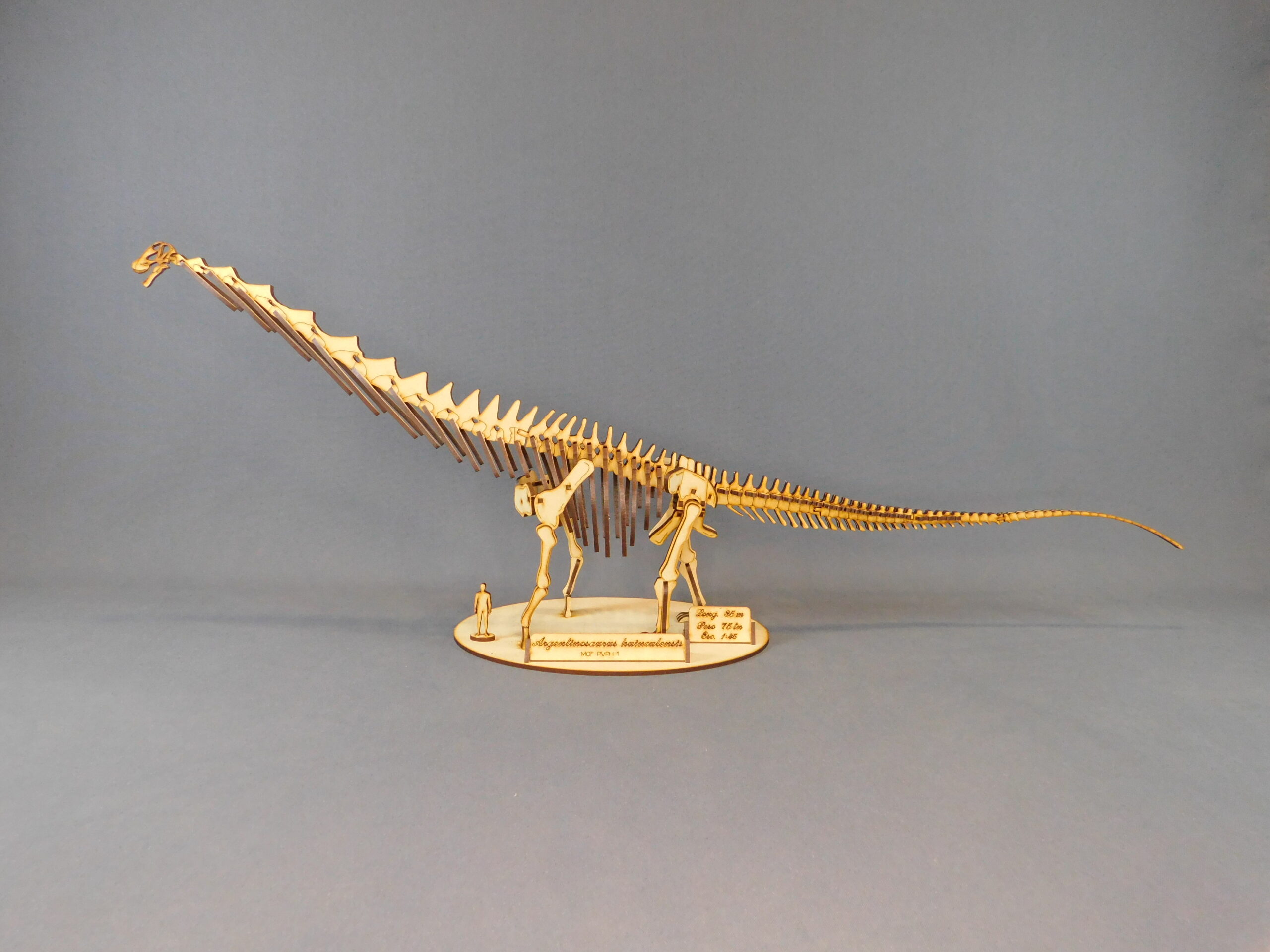 Argentinosaurus huinculensis Escala 1:45 - Imagen 3