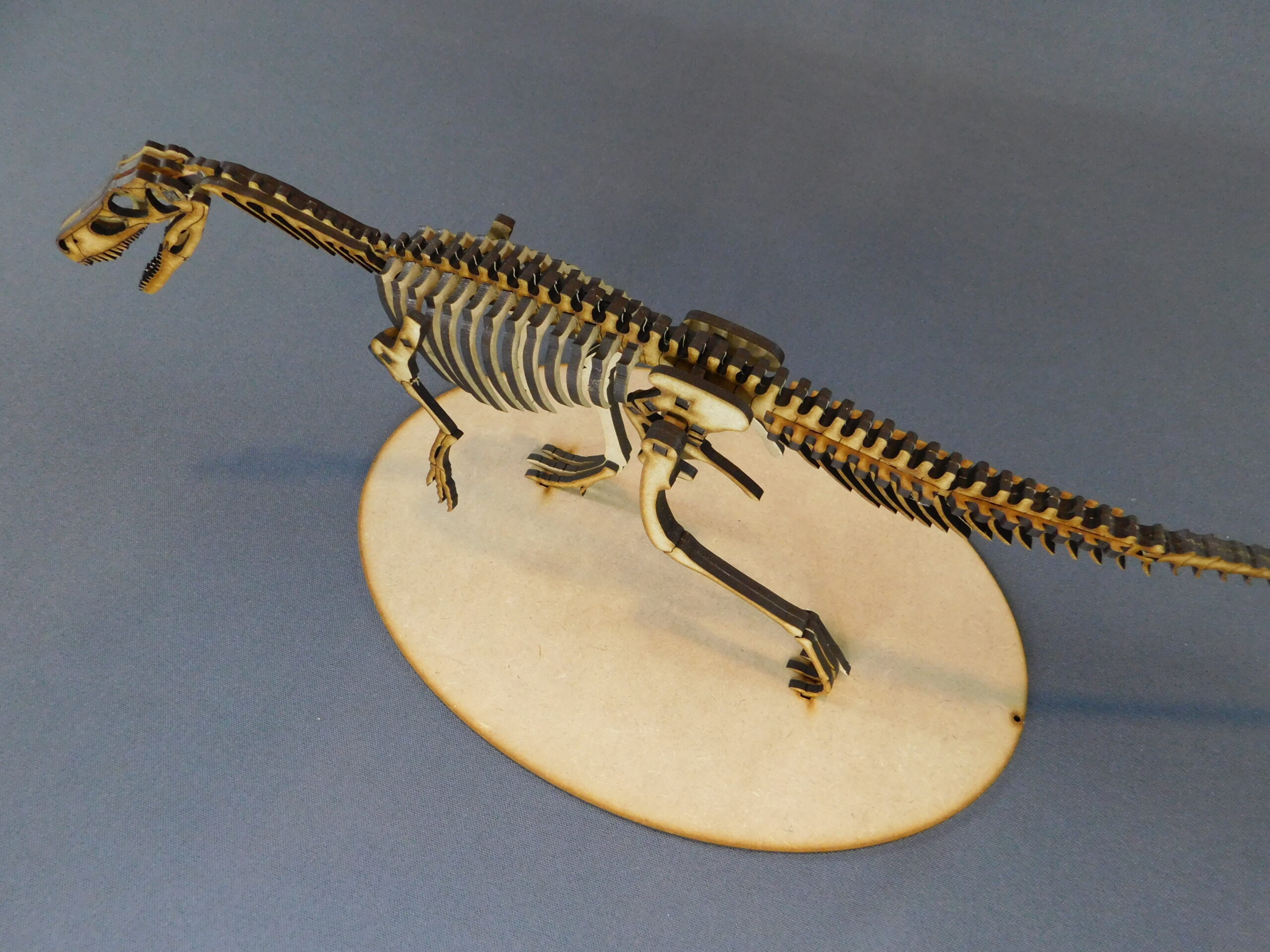Herrerasaurus ischigualastensis Escala 1:10 - Imagen 2