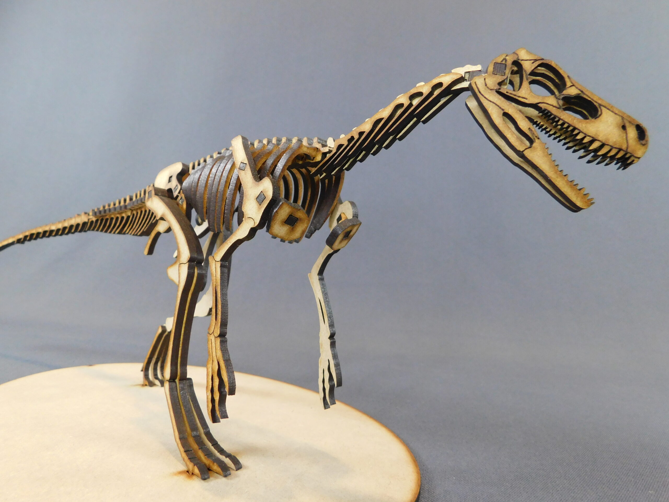 Herrerasaurus ischigualastensis Escala 1:10