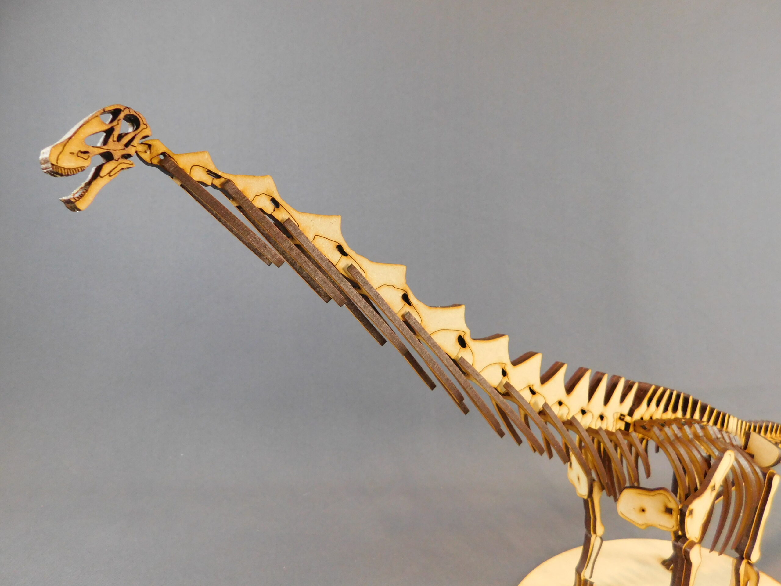 Argentinosaurus huinculensis Escala 1:45
