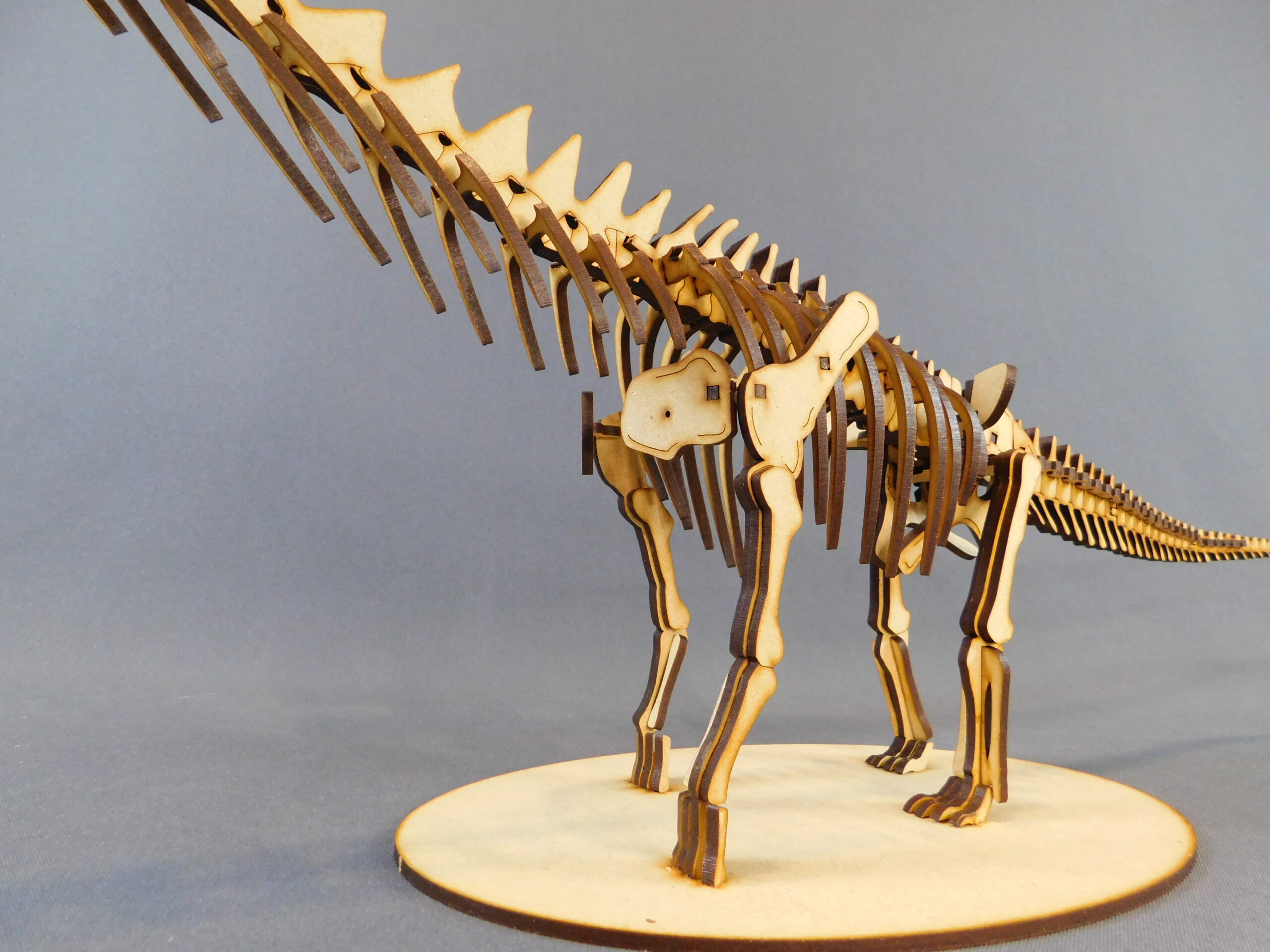 Argentinosaurus huinculensis Escala 1:45 - Imagen 4