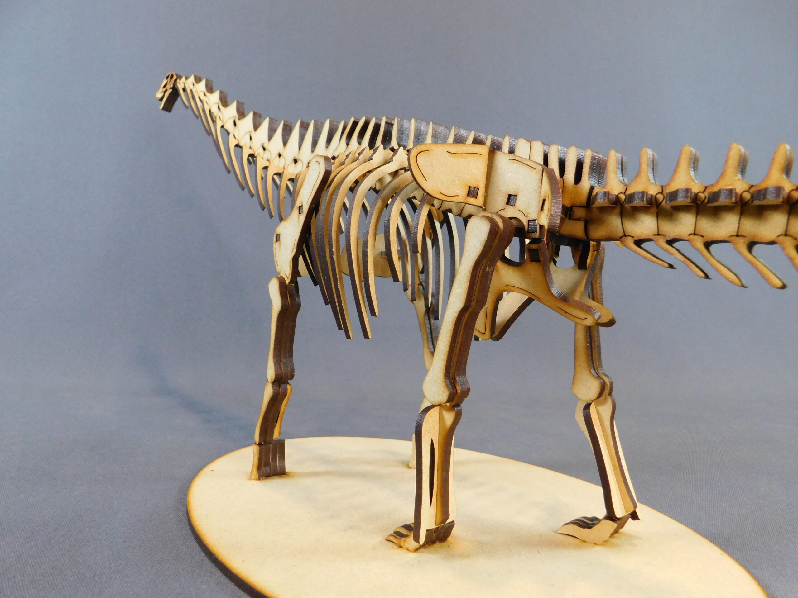 Argentinosaurus huinculensis Escala 1:45 - Imagen 5