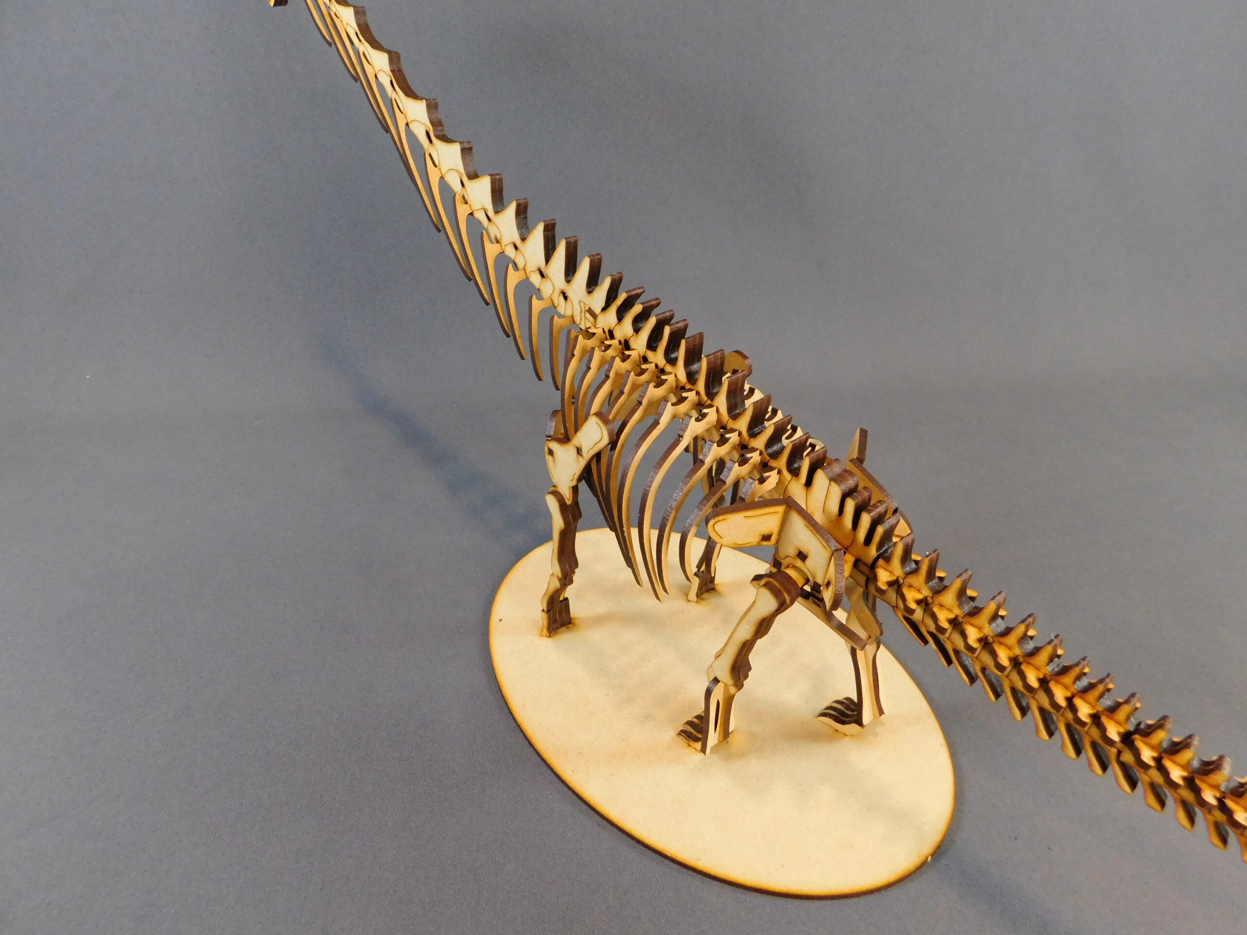 Argentinosaurus huinculensis Escala 1:45 - Imagen 6