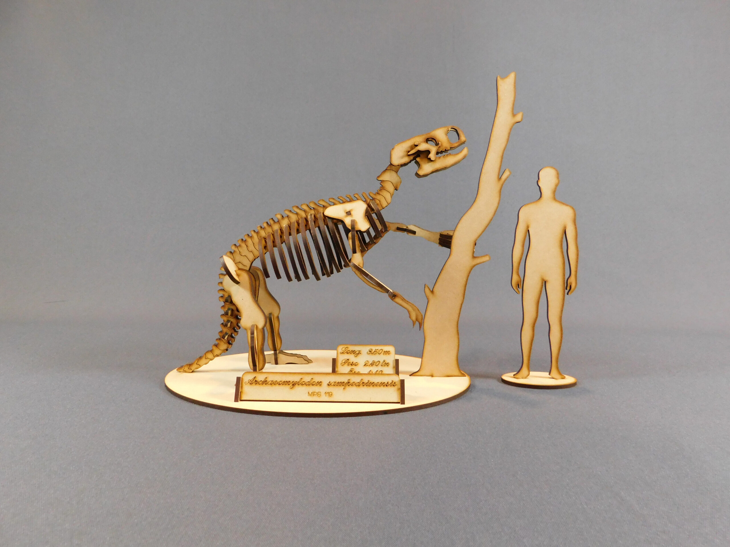 Archaeomylodon sampedrinensis Escala 1:10 - Imagen 2