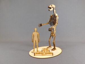 Arctotherium angustidens Escala 1:10