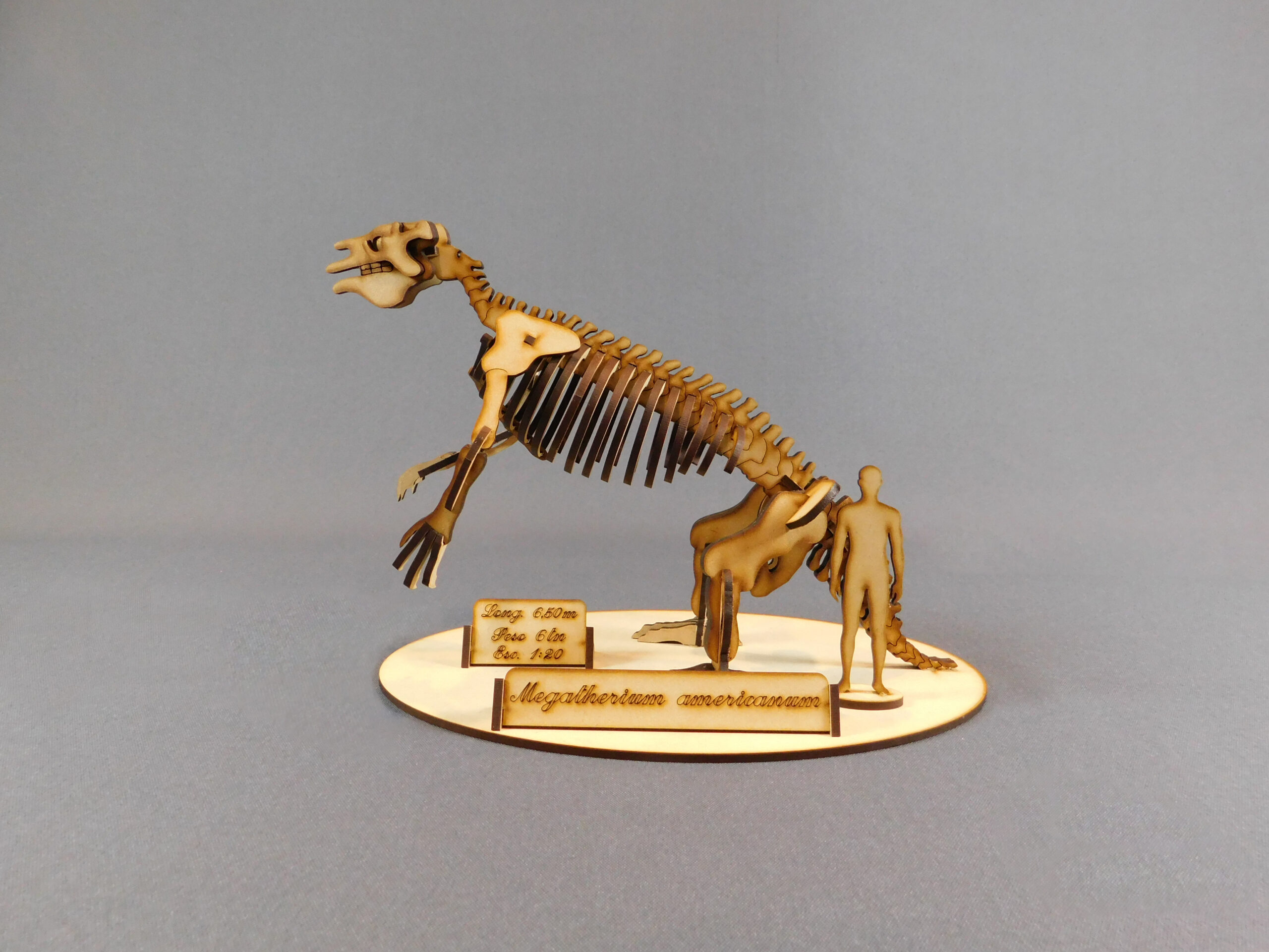 Megatherium americanum Escala 1:20 - Imagen 2