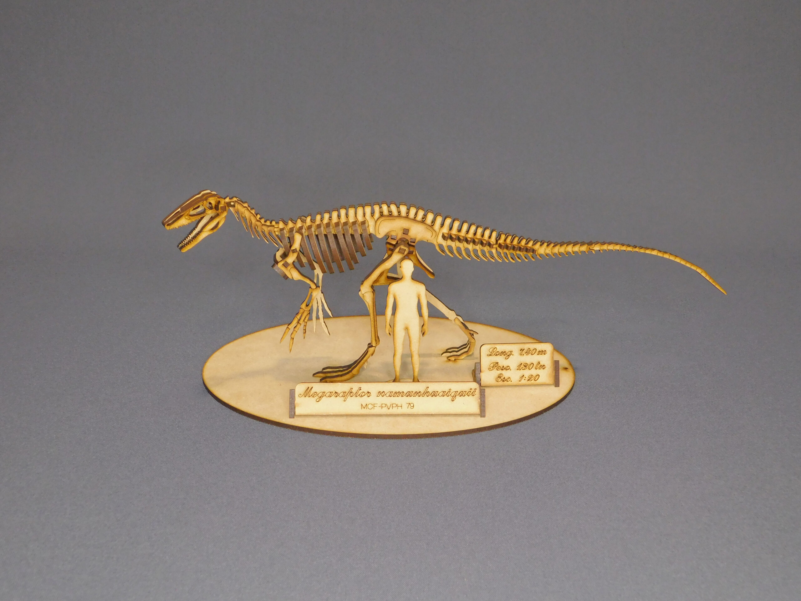Megaraptor namunhuaiquii Escala 1:20 - Imagen 2