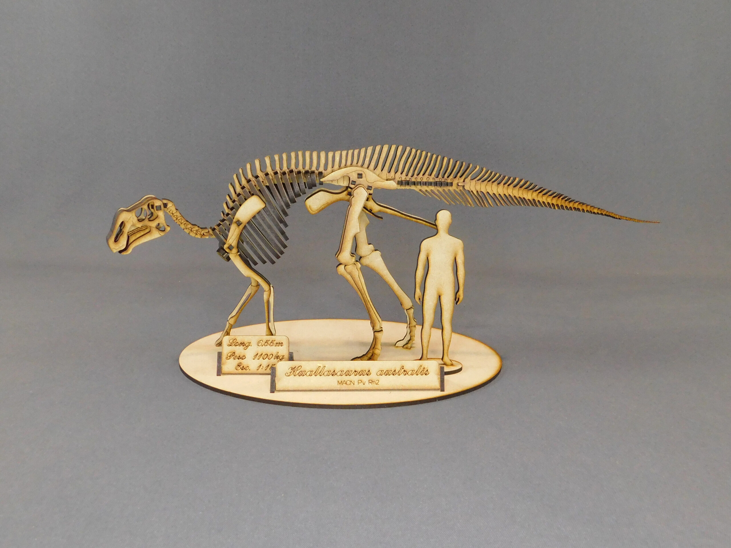 Huallasaurus australis Escala 1:15 - Imagen 2