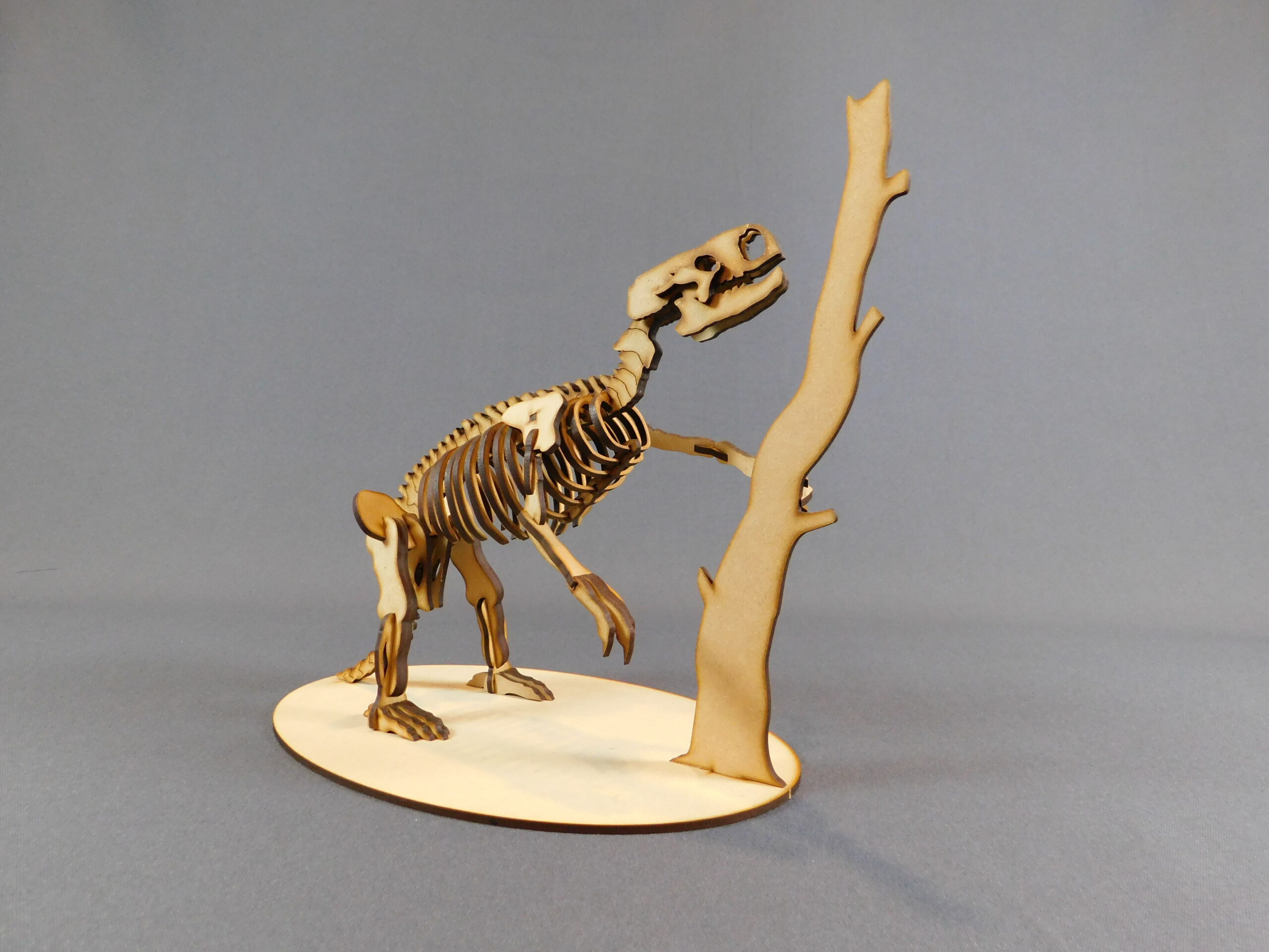 Archaeomylodon sampedrinensis Escala 1:10