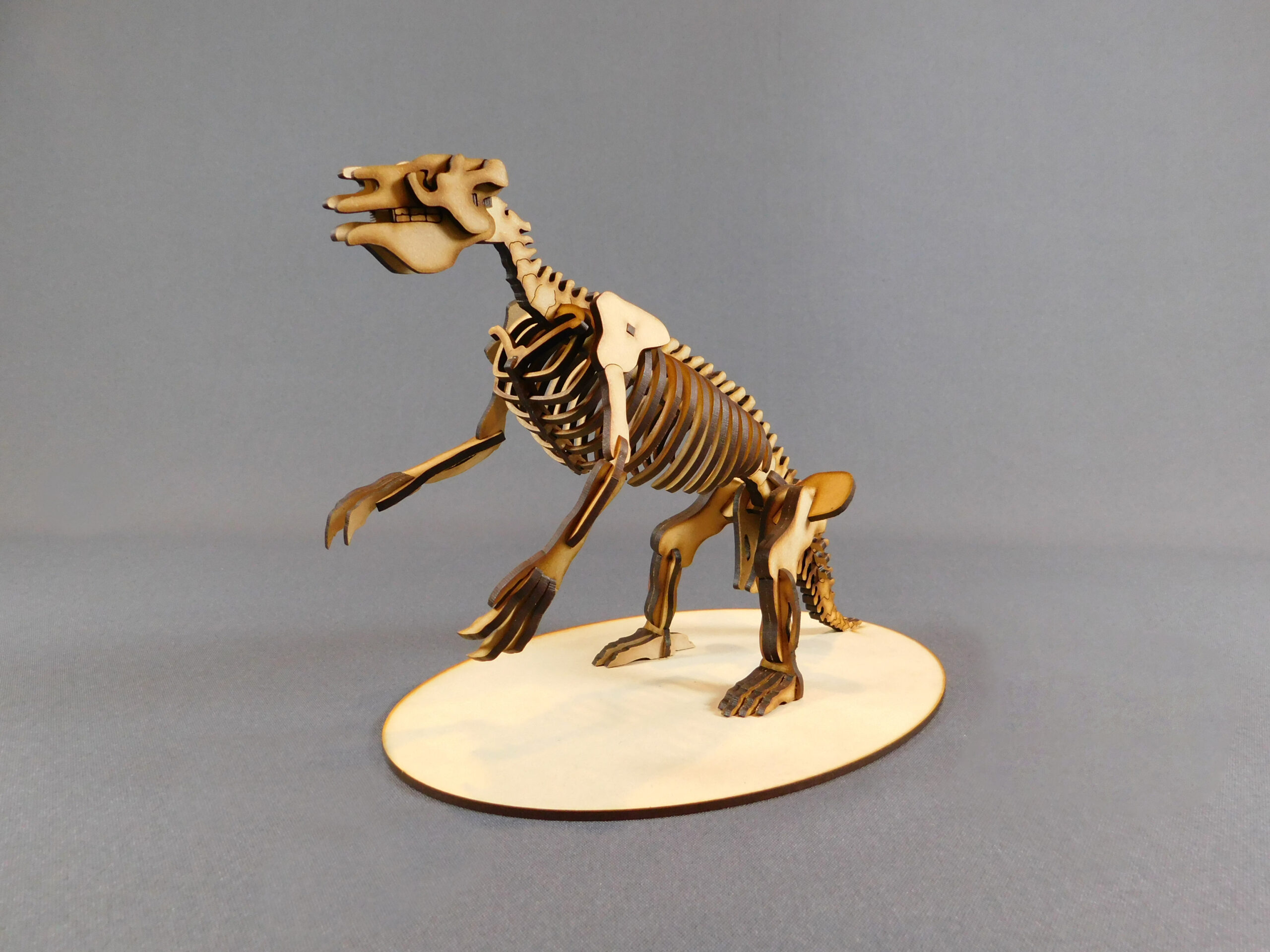 Megatherium americanum Escala 1:20 - Imagen 3