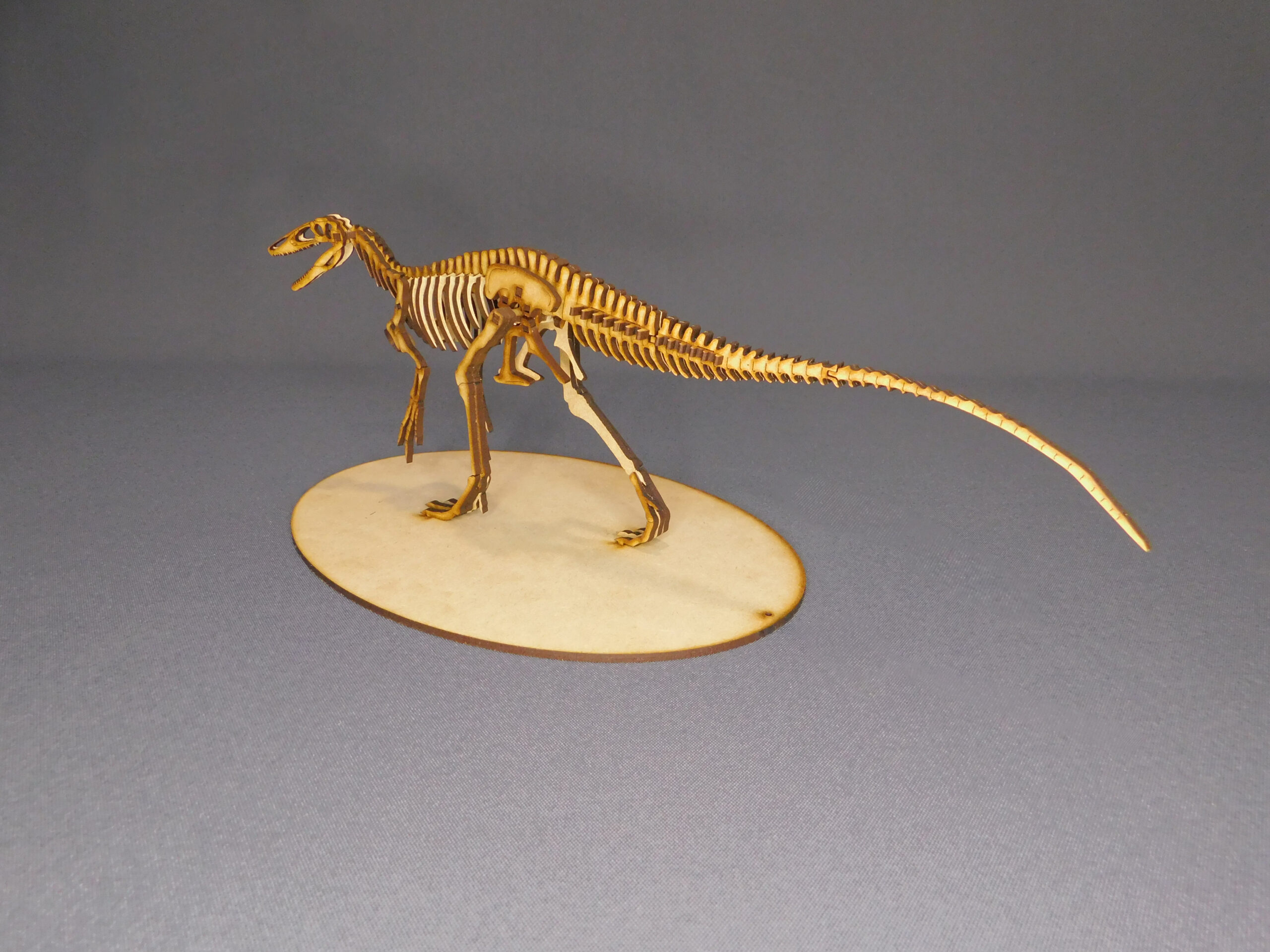 Megaraptor namunhuaiquii Escala 1:20 - Imagen 3