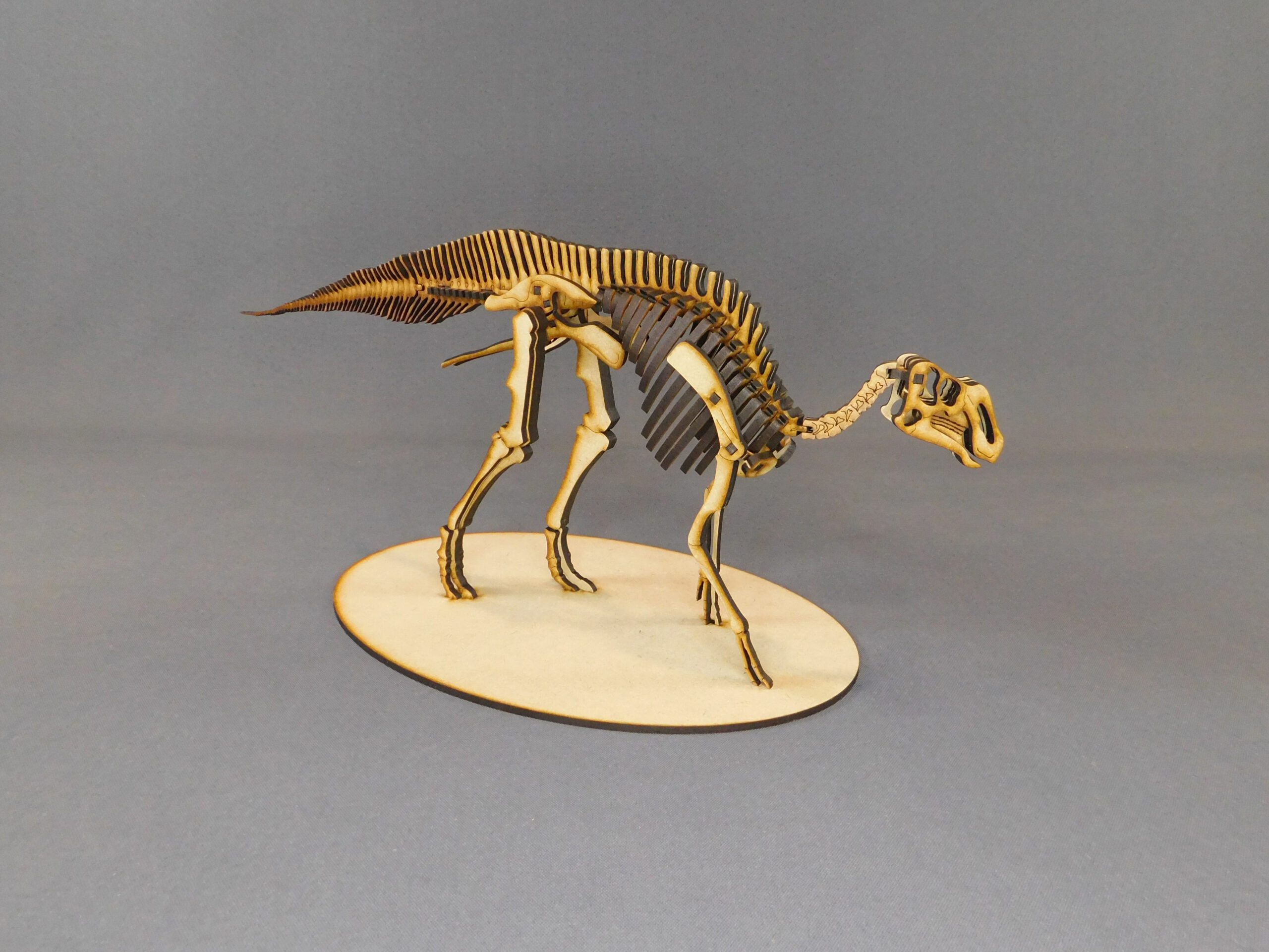 Huallasaurus australis Escala 1:15 - Imagen 3