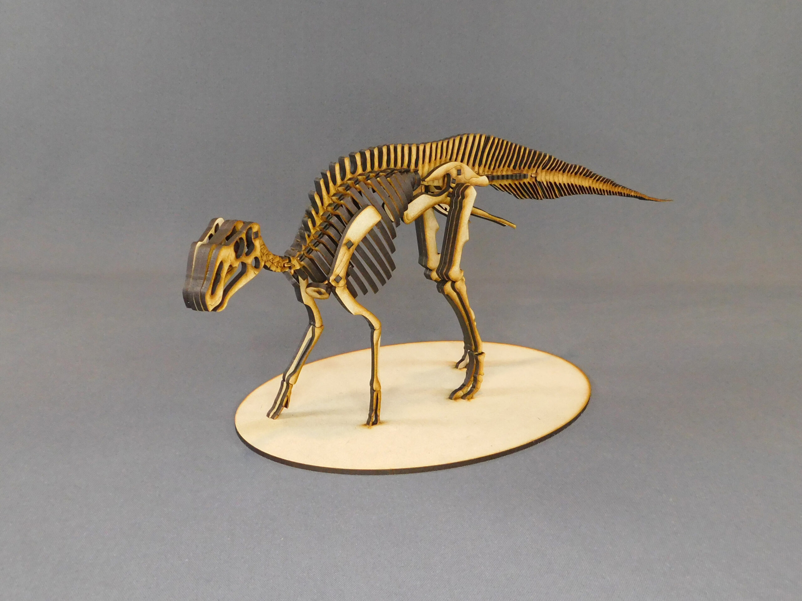 Huallasaurus australis Escala 1:15