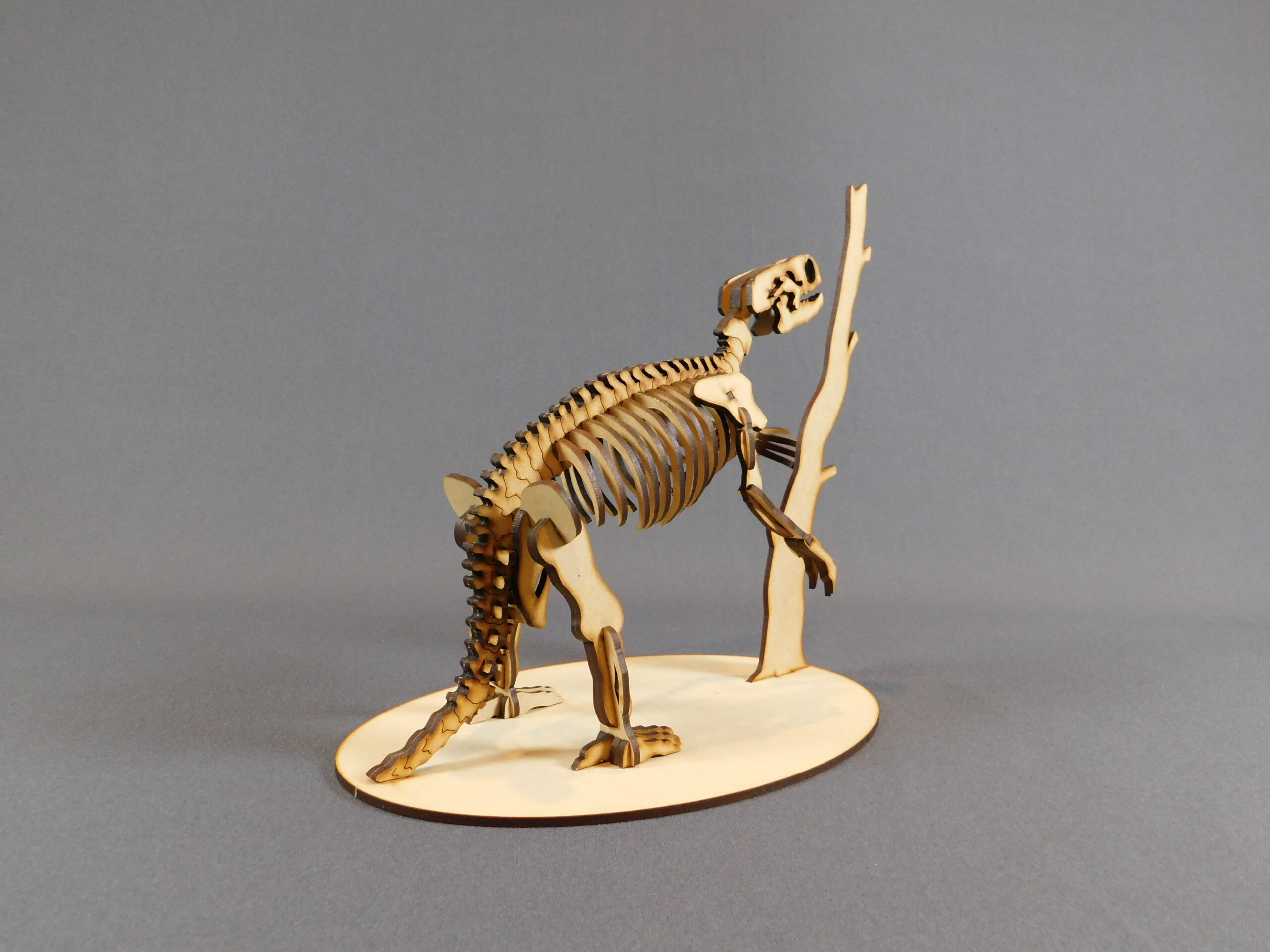 Archaeomylodon sampedrinensis Escala 1:10 - Imagen 3