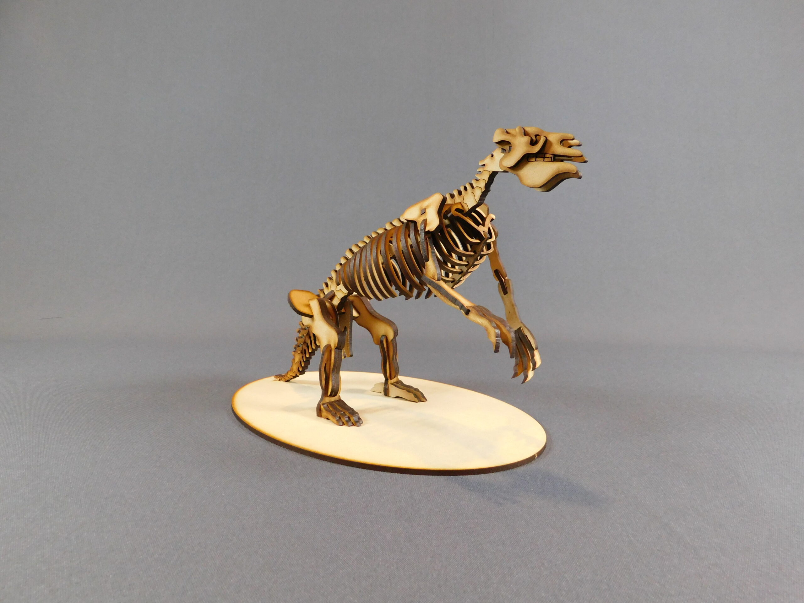 Megatherium americanum Escala 1:20