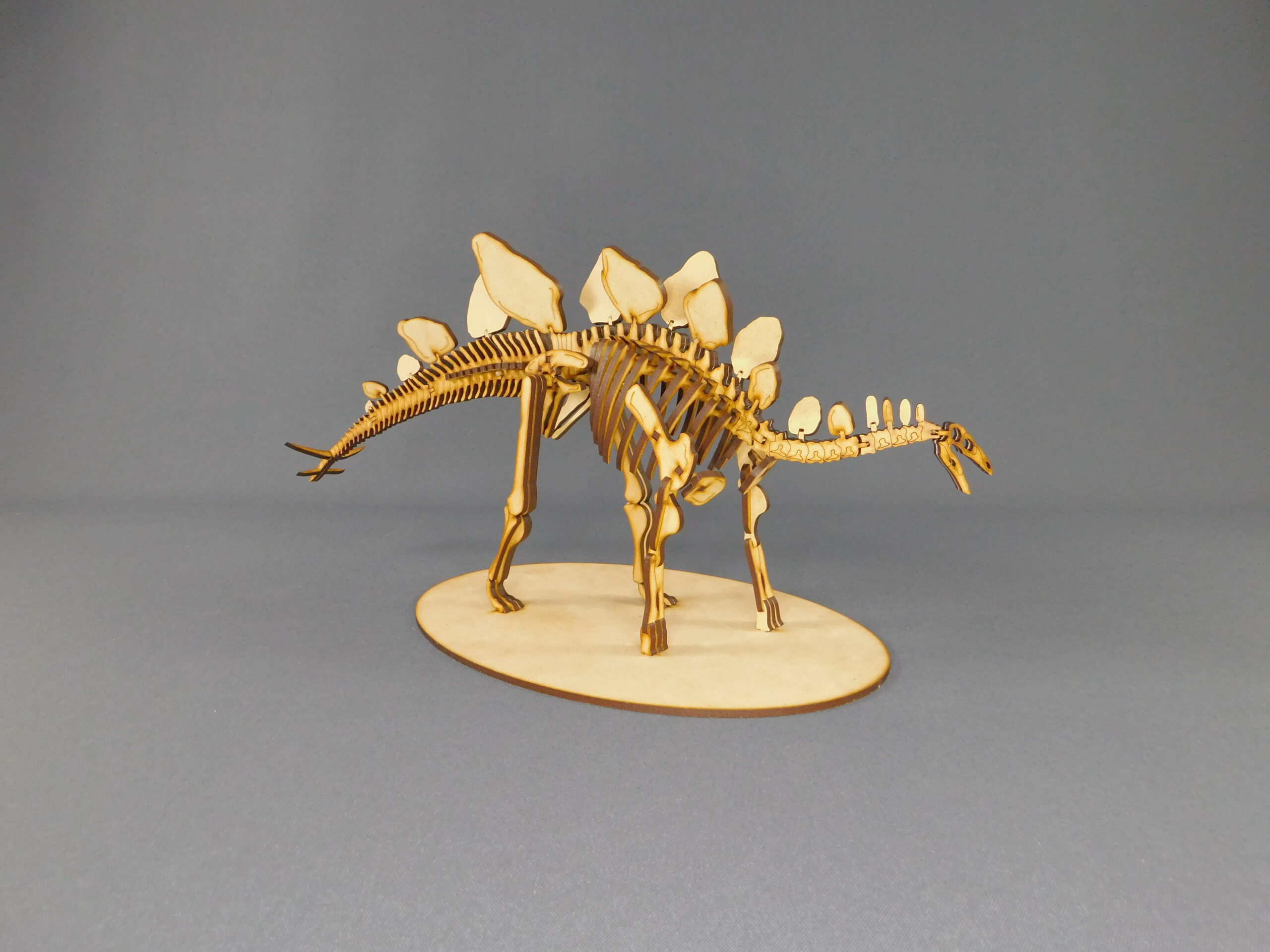 Stegosaurus ungulatus Escala 1:20 - Imagen 3