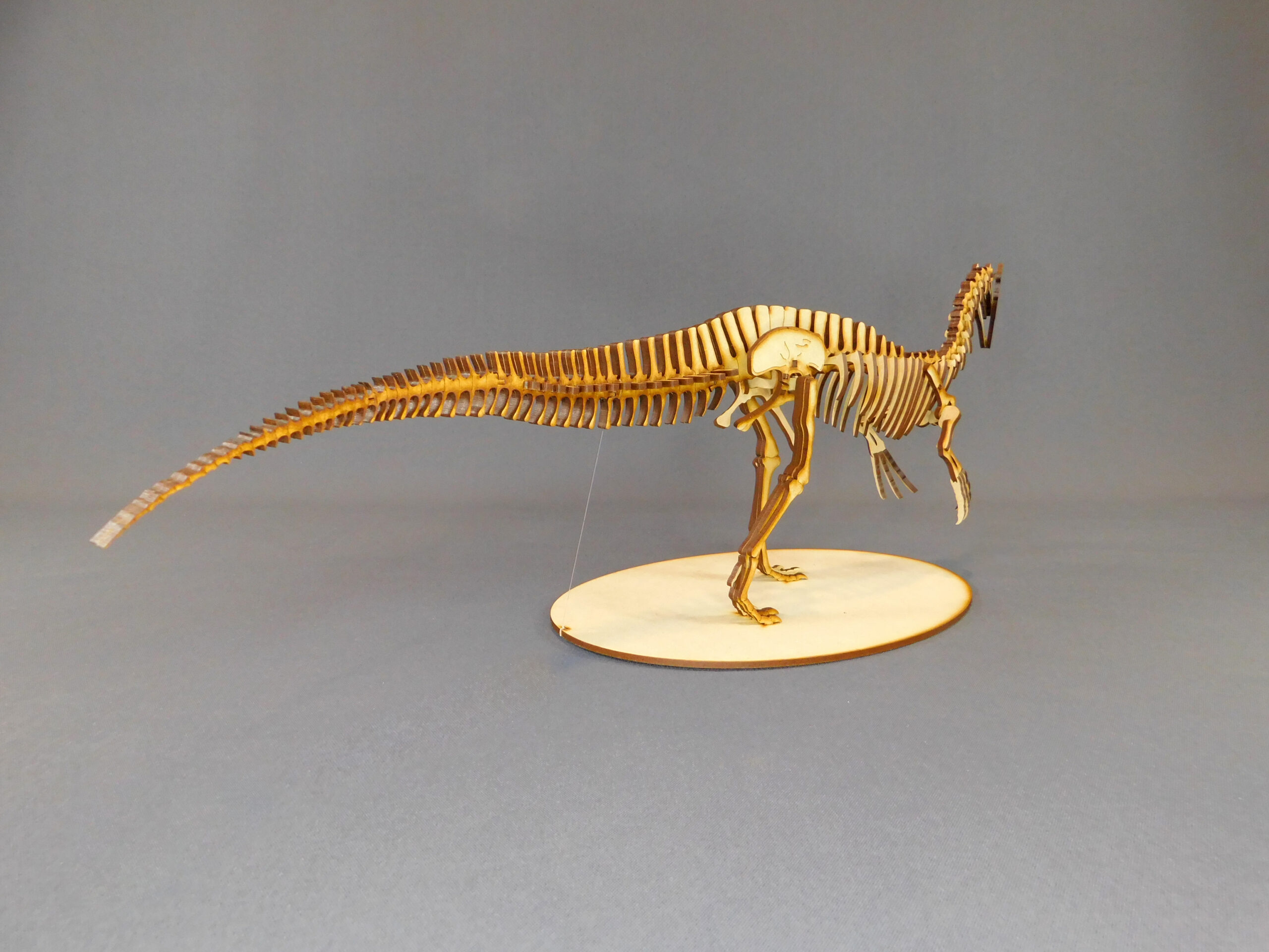 Suchomimus tenerensis Escala 1:20 - Imagen 3