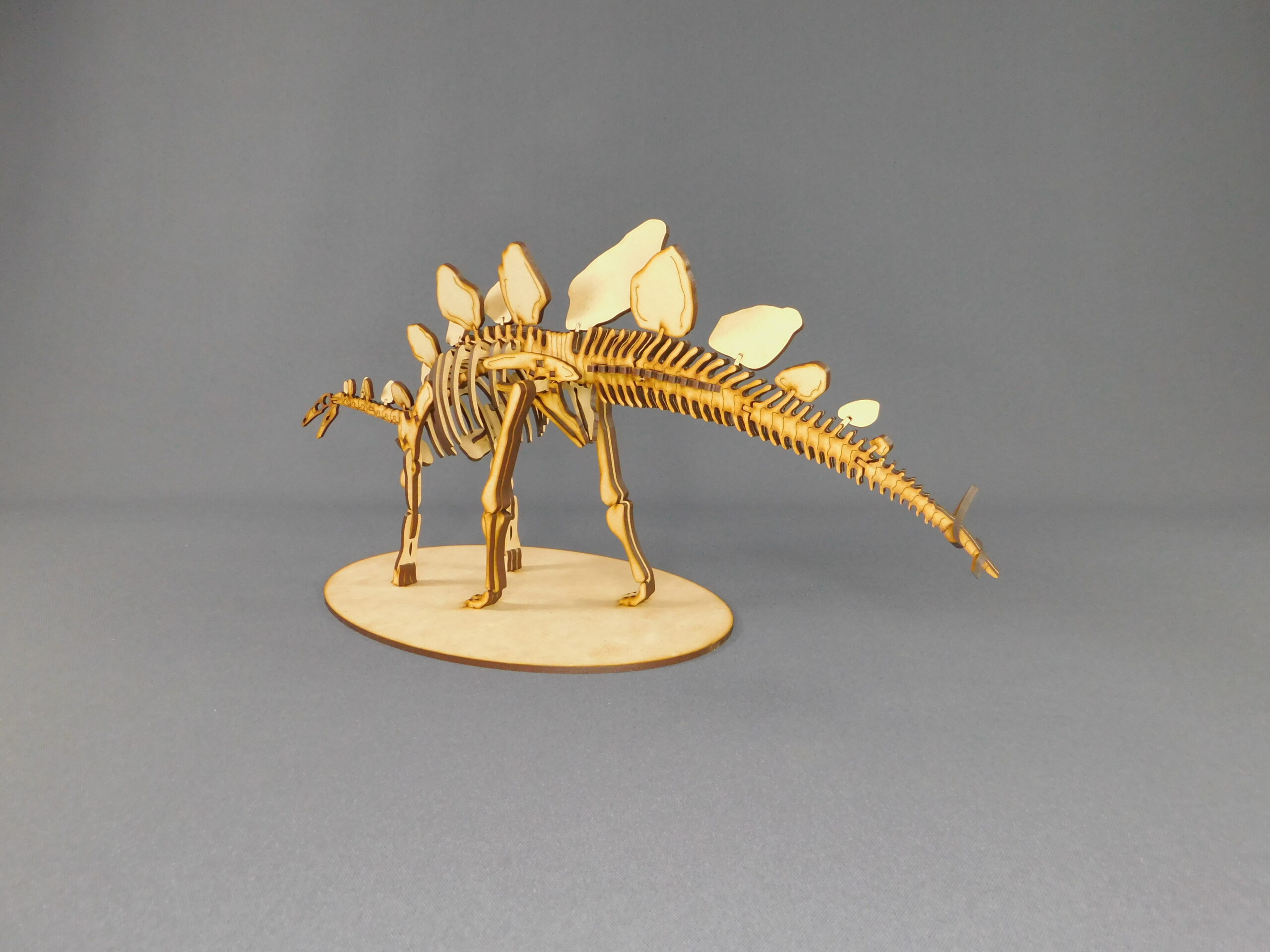 Stegosaurus ungulatus Escala 1:20 - Imagen 4