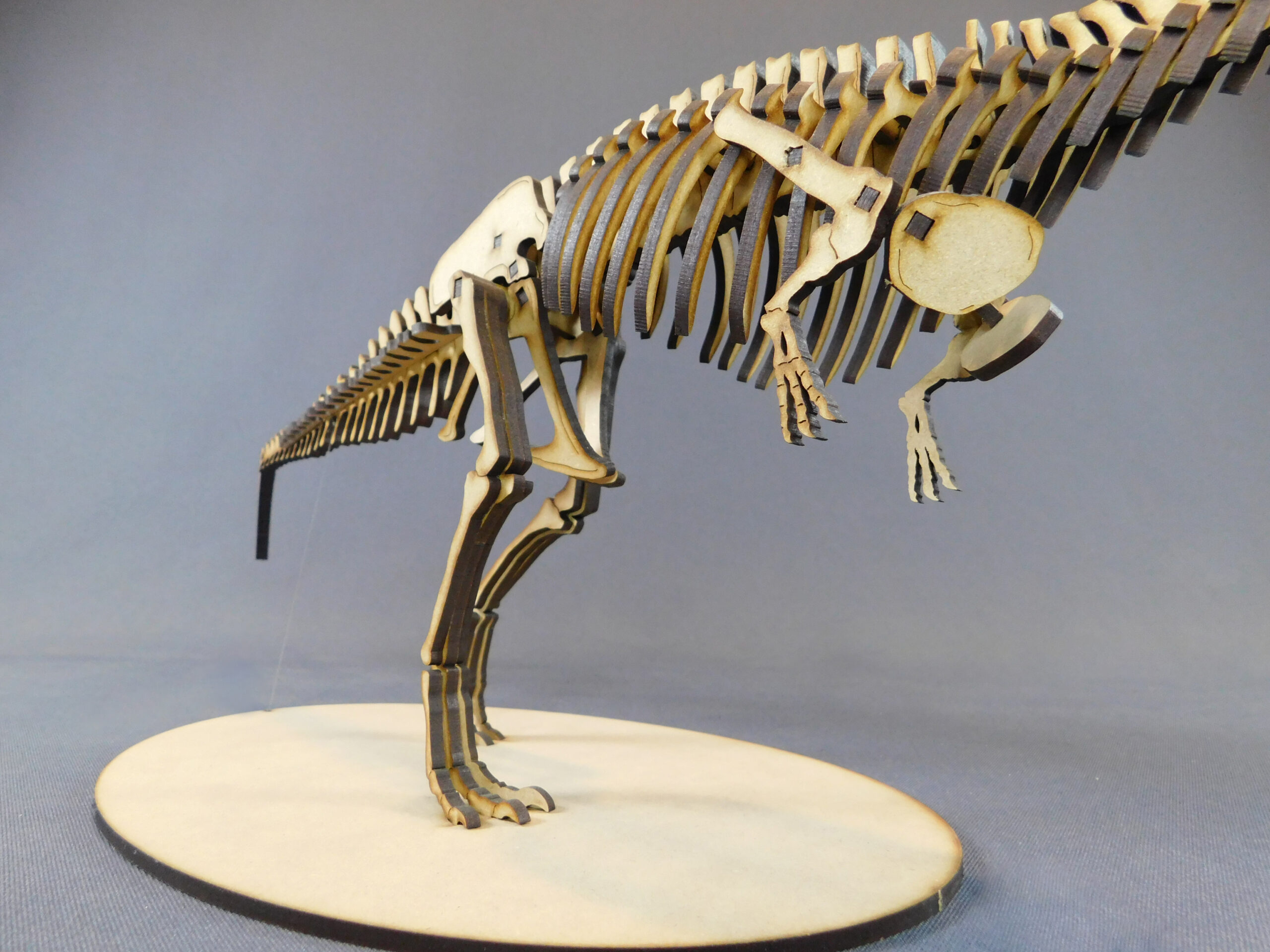 Taurovenator violantei Escala 1:20 - Imagen 3