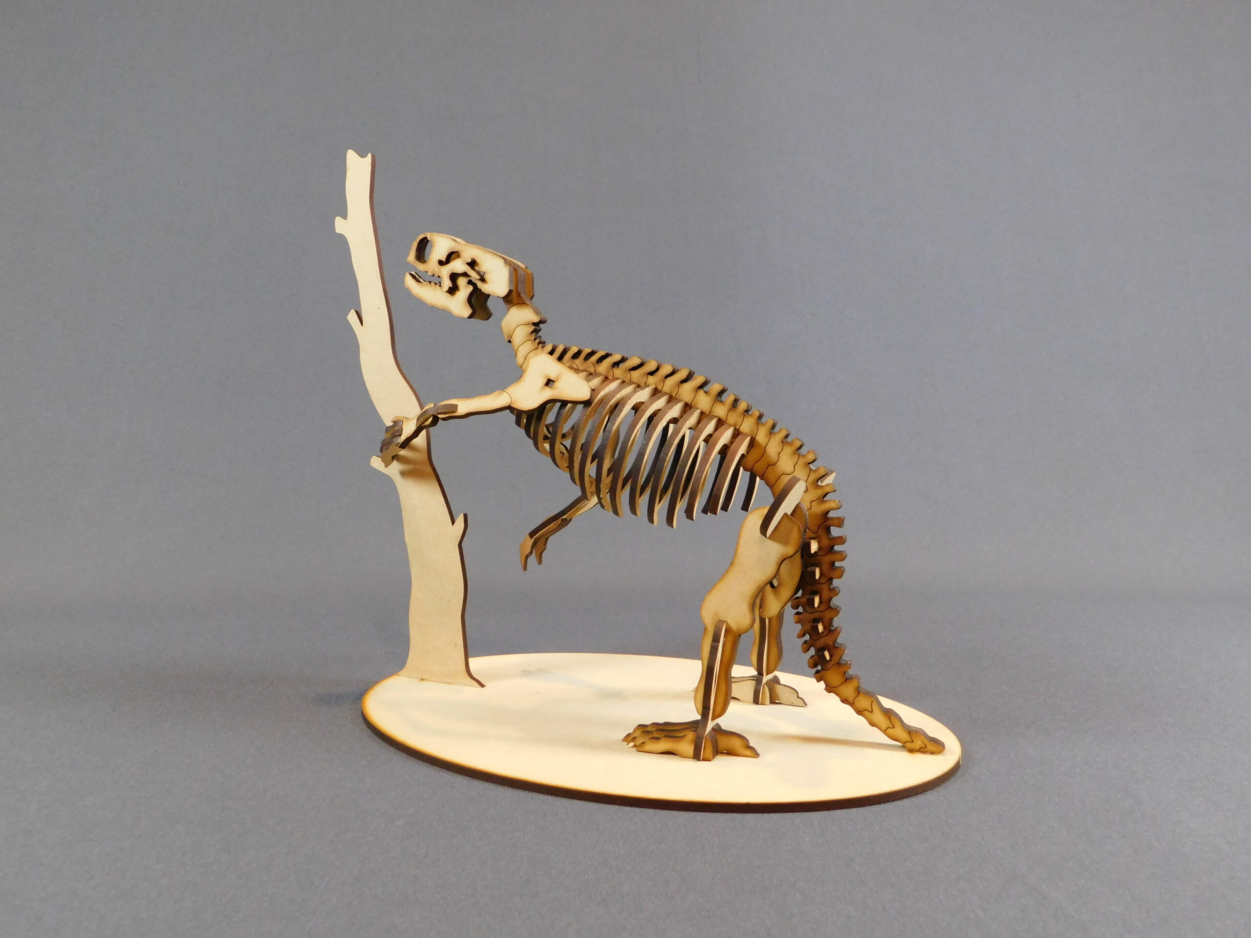 Archaeomylodon sampedrinensis Escala 1:10 - Imagen 4