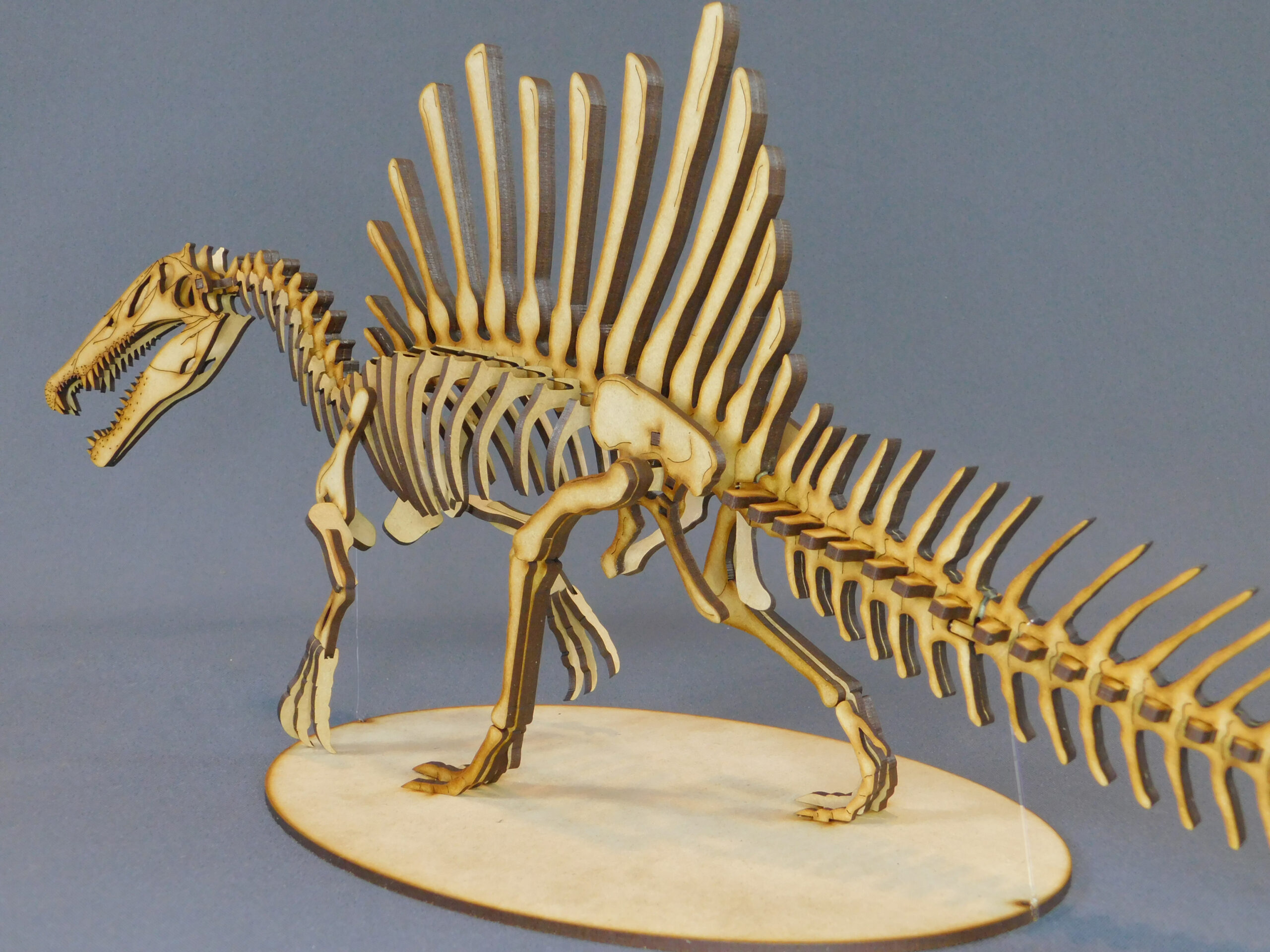 Spinosaurus aegyptiacus Escala 1:20 - Imagen 3