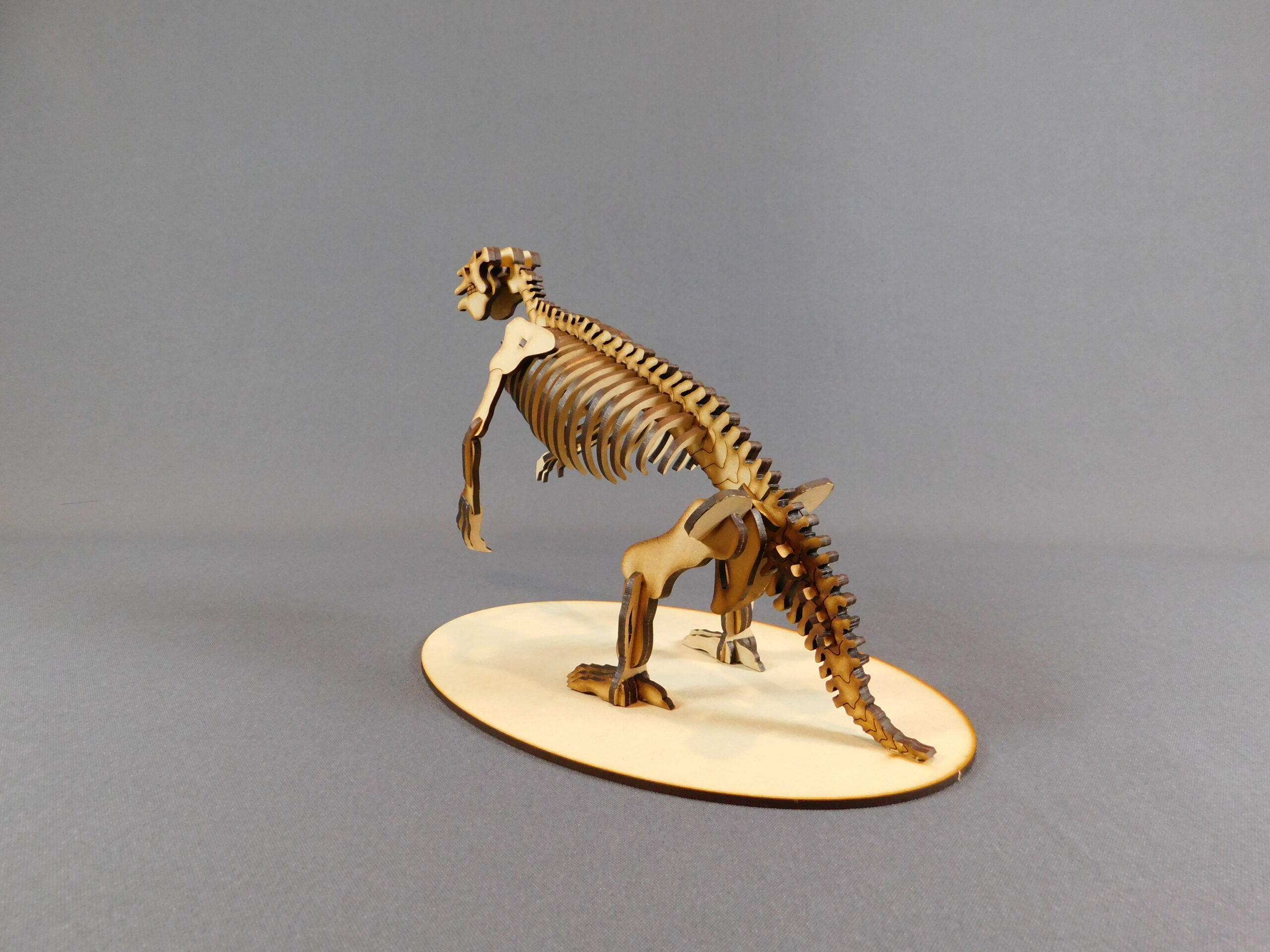 Megatherium americanum Escala 1:20 - Imagen 4