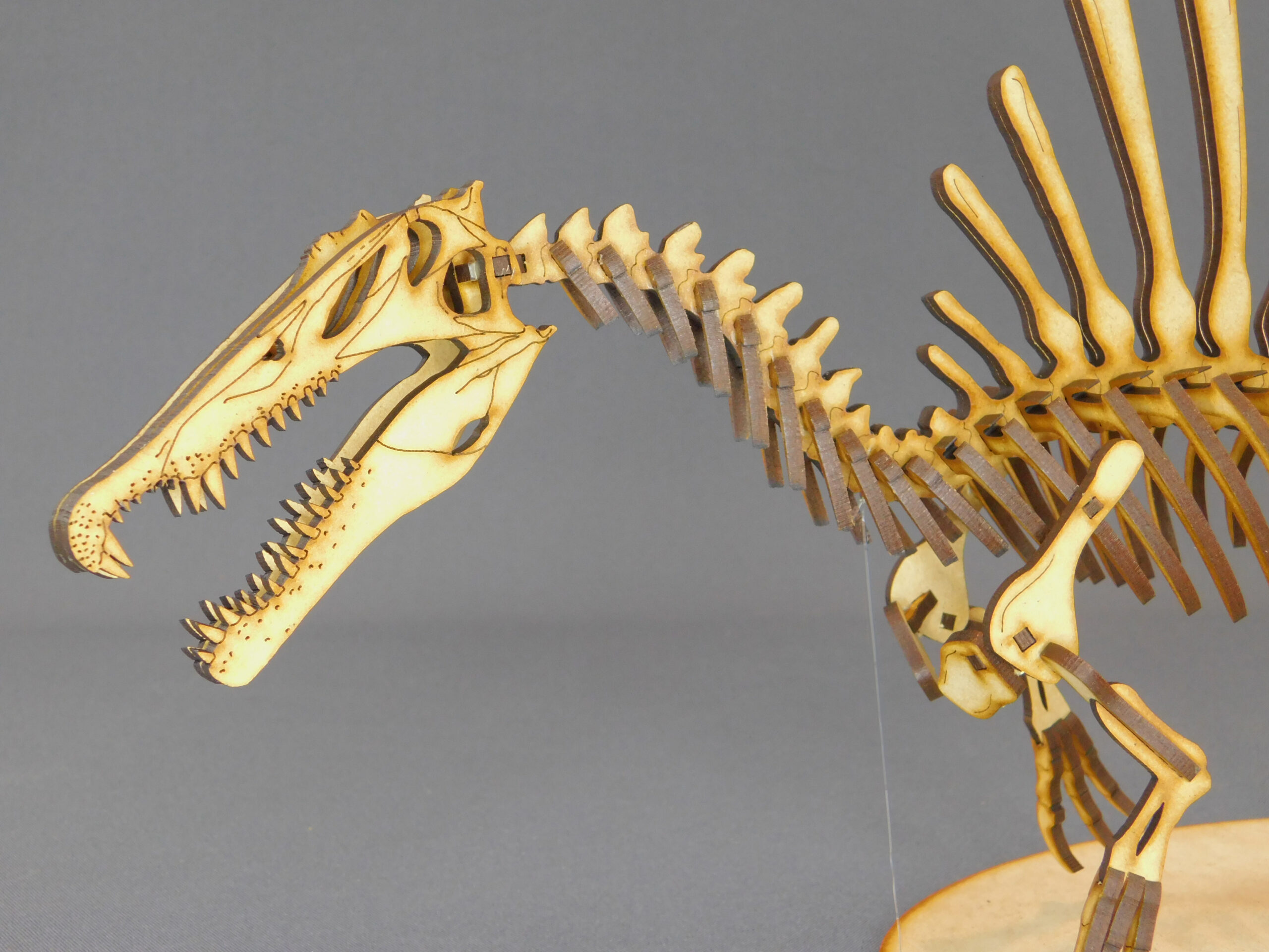 Spinosaurus aegyptiacus Escala 1:20 - Imagen 4