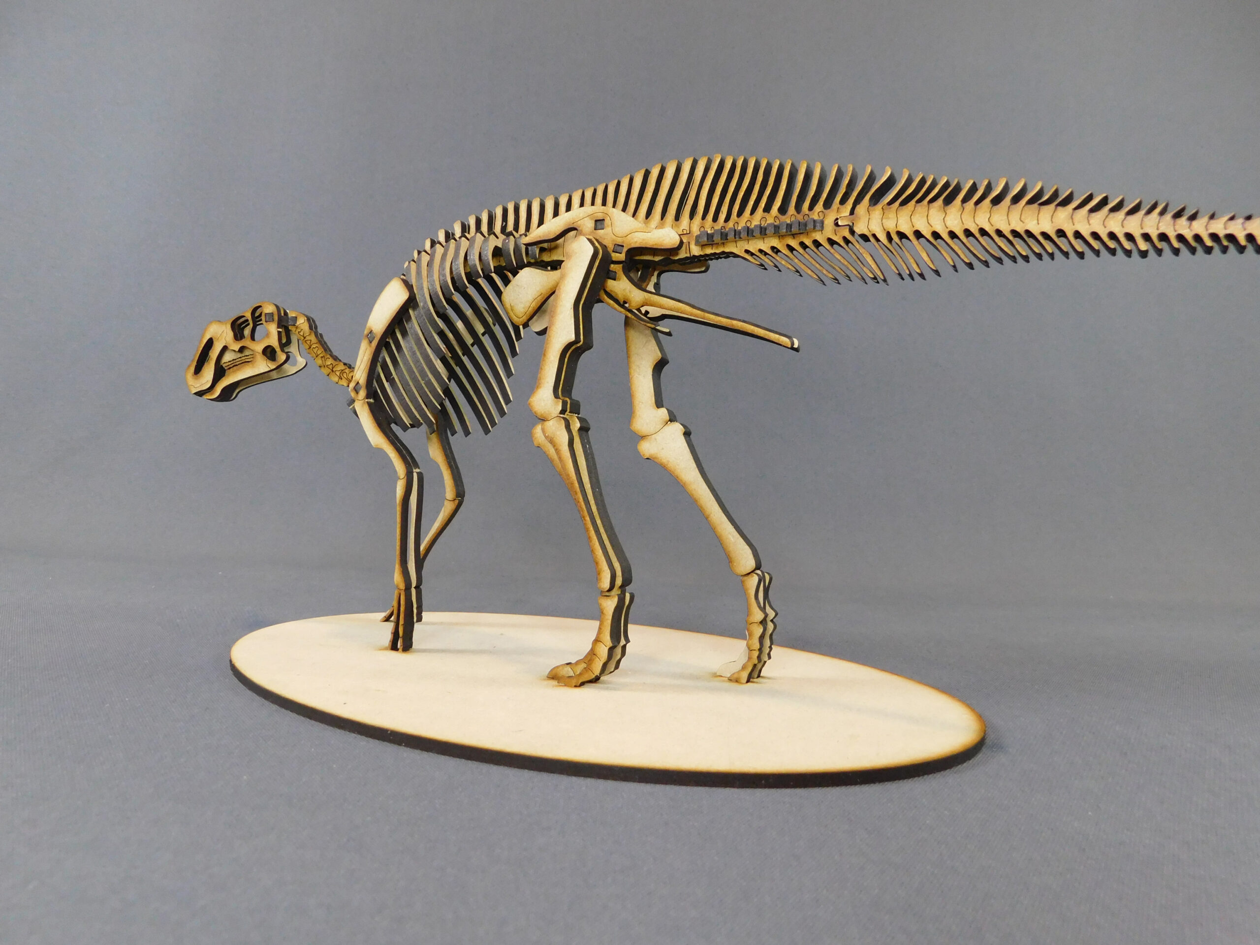 Huallasaurus australis Escala 1:15 - Imagen 4