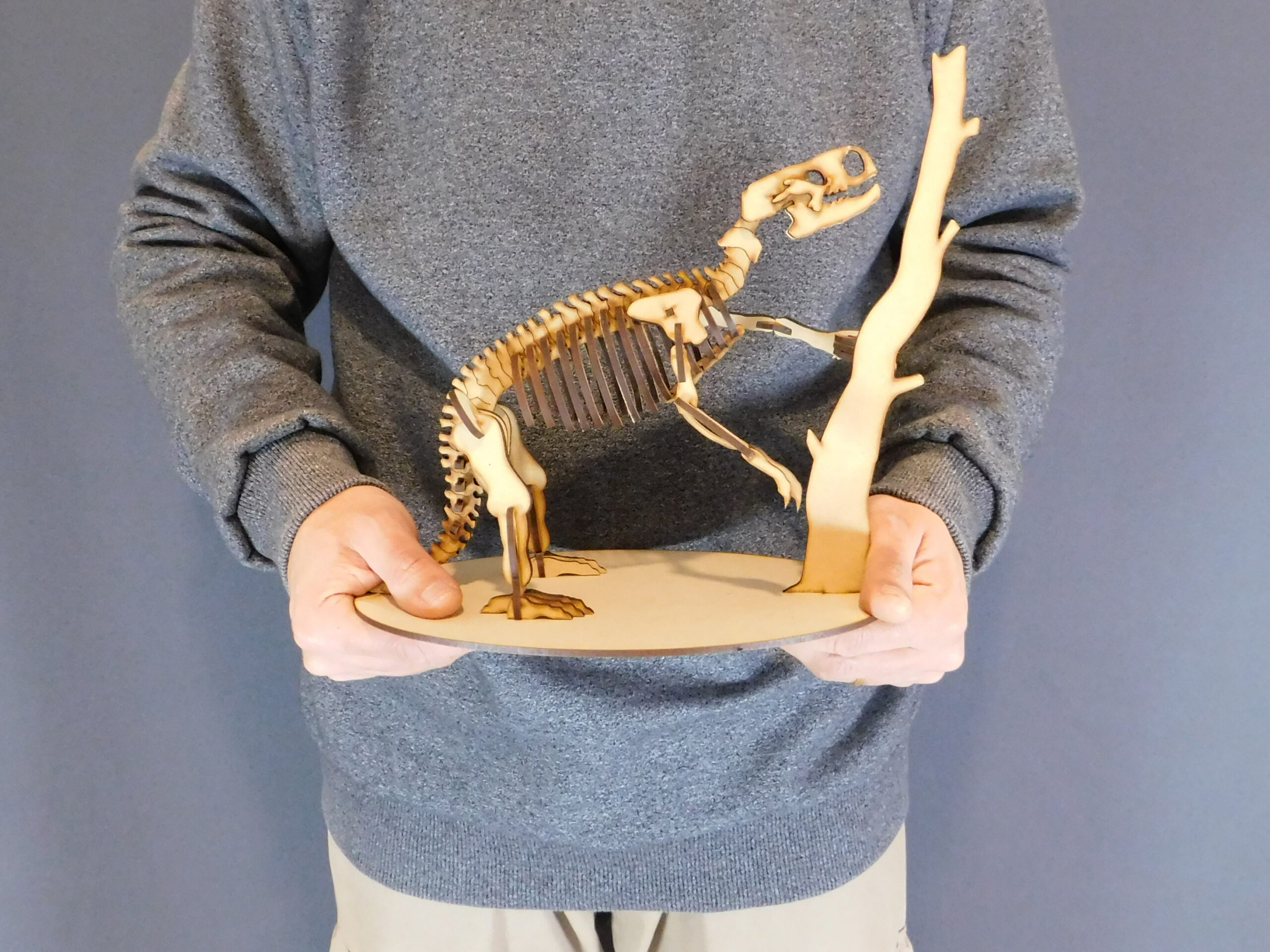 Archaeomylodon sampedrinensis Escala 1:10 - Imagen 5