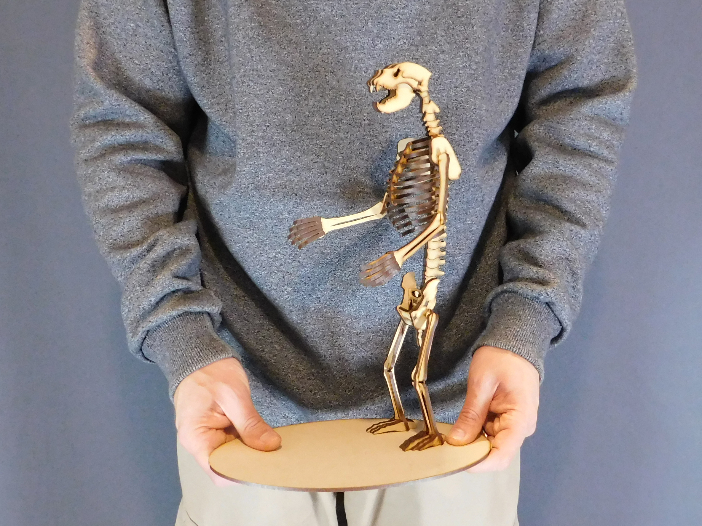 Arctotherium angustidens Escala 1:10 - Imagen 2