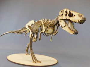 Tyrannosaurus rex Escala 1:20