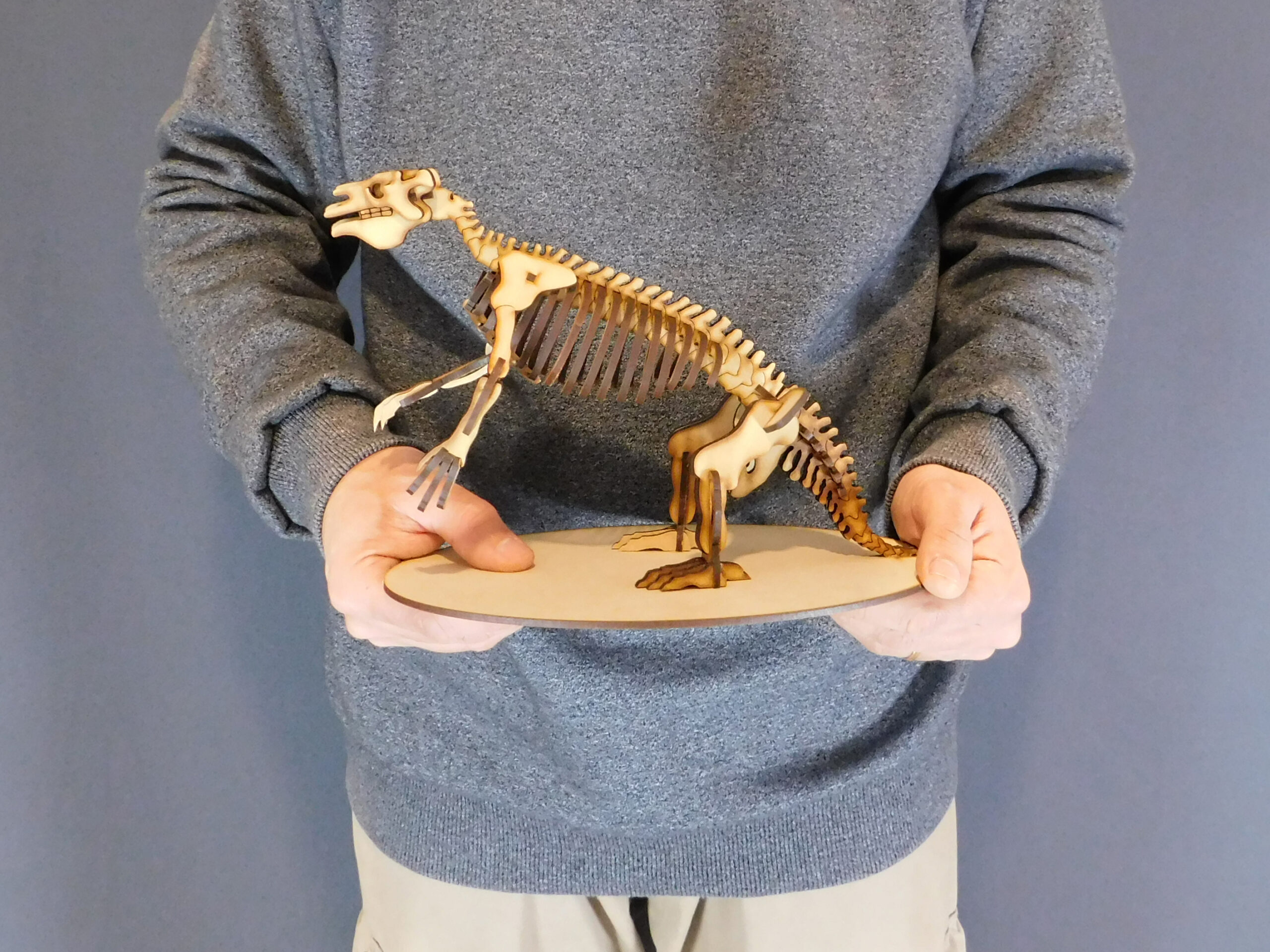 Megatherium americanum Escala 1:20 - Imagen 5